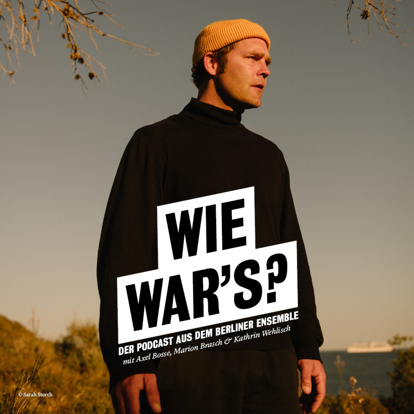 cover art for Wie war's, Bosse? 