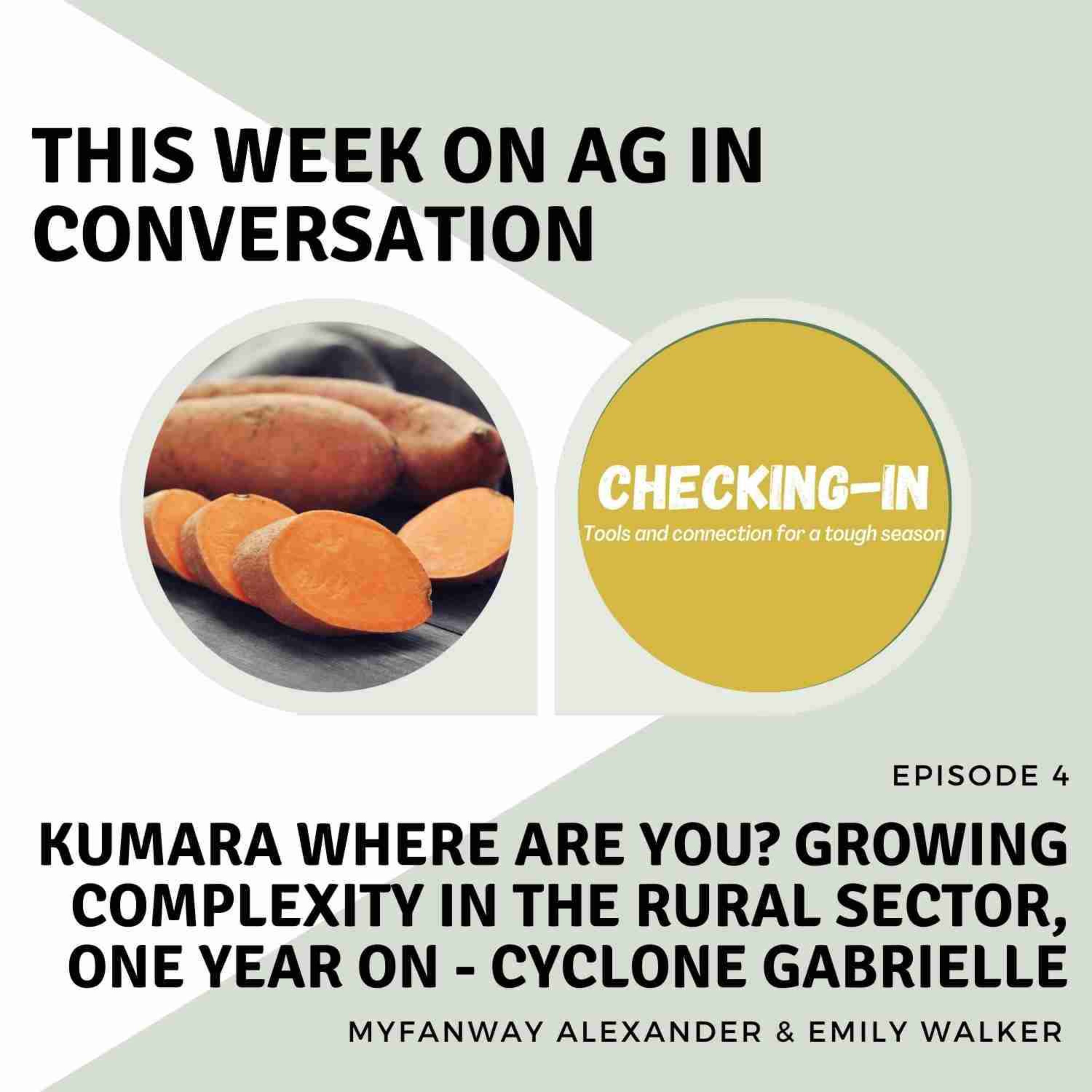 Kumara where are you? growing complexity in the rural sector, one year on - Cyclone Gabrielle