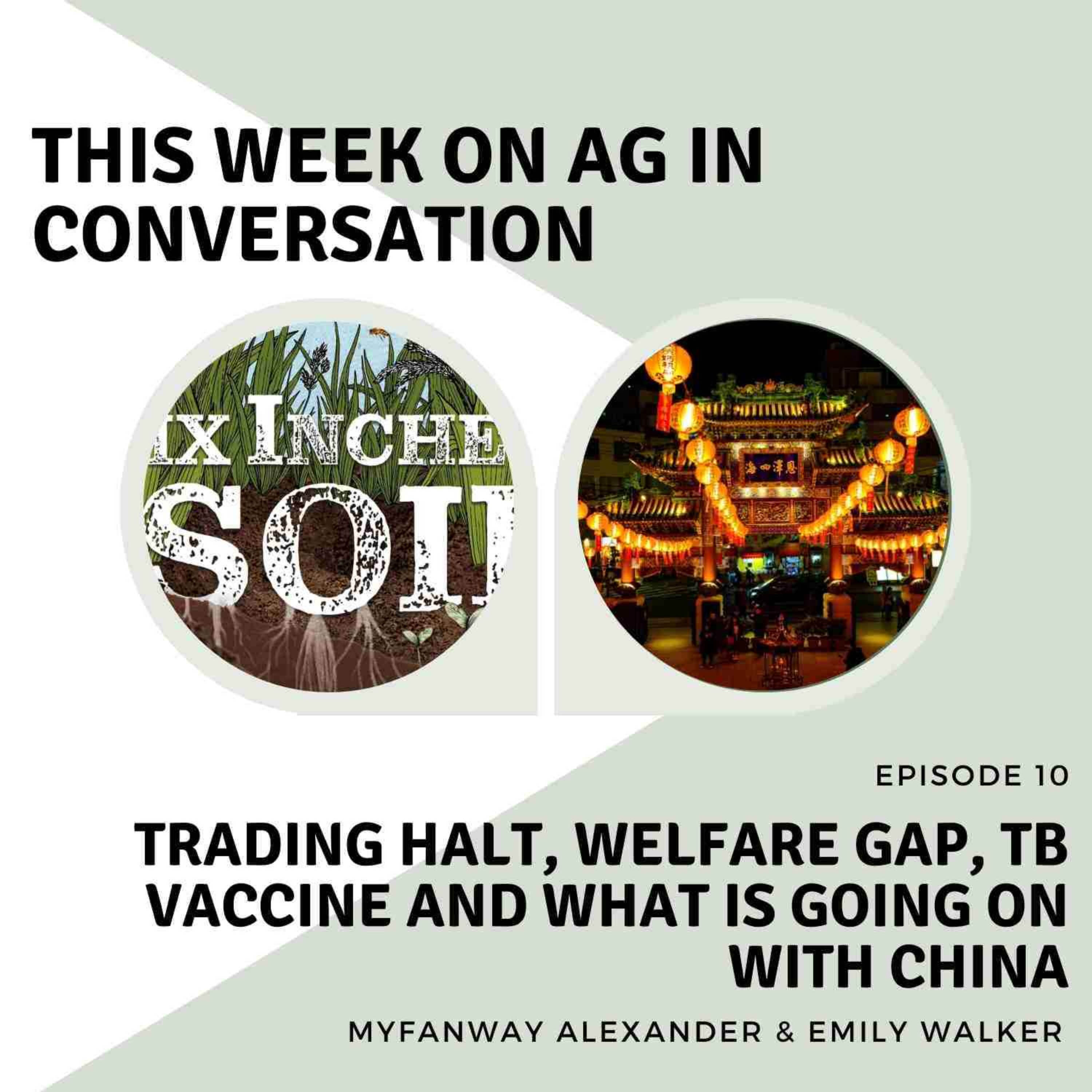 Trading halt, Welfare gap, TB Vaccine and what is going on with China?