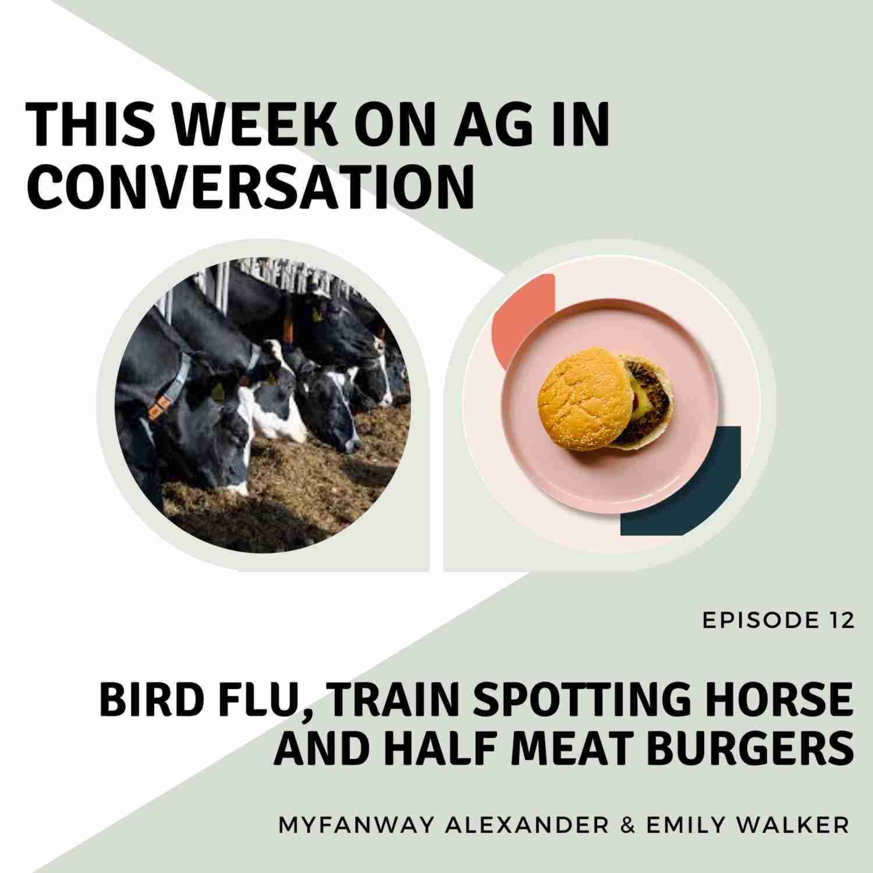 cover art for Bird Flu, train spotting horse and half meat burgers