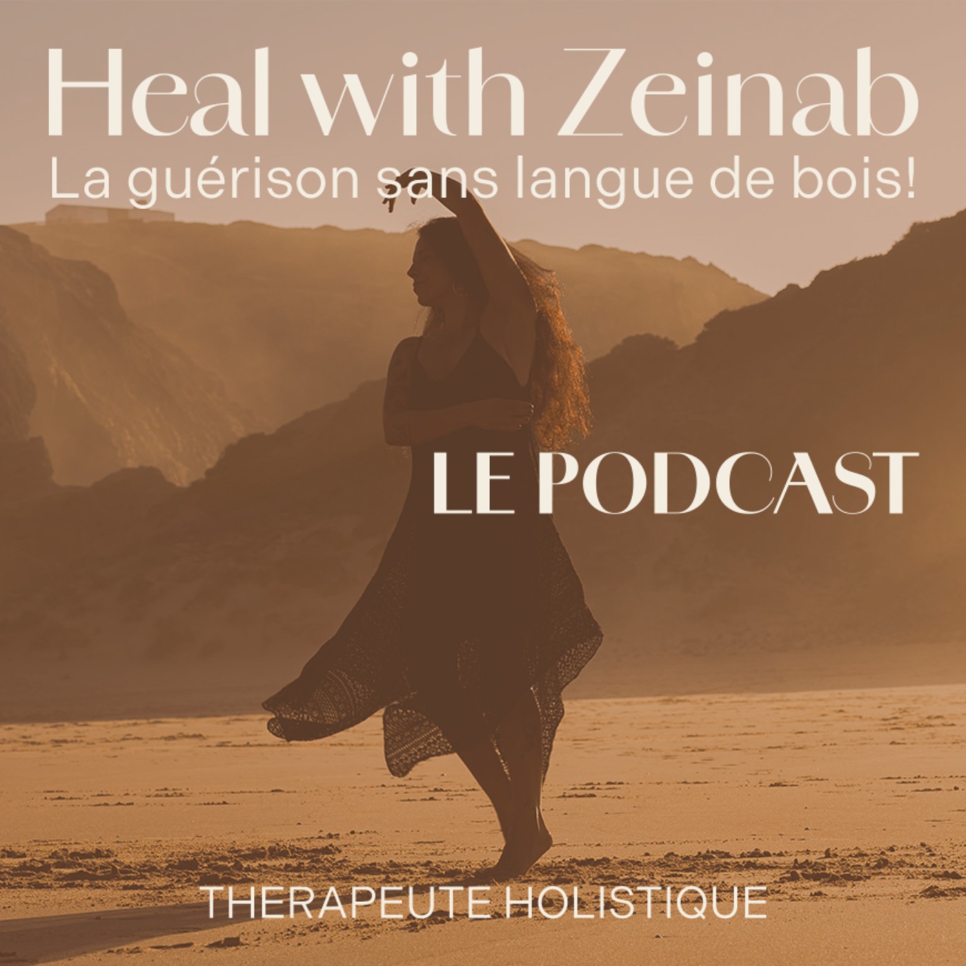 cover art for Rencontre avec Healing is the new black