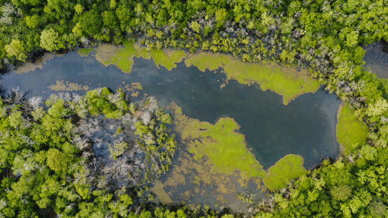 Activities for Raising Climate Awareness with Harry Waters