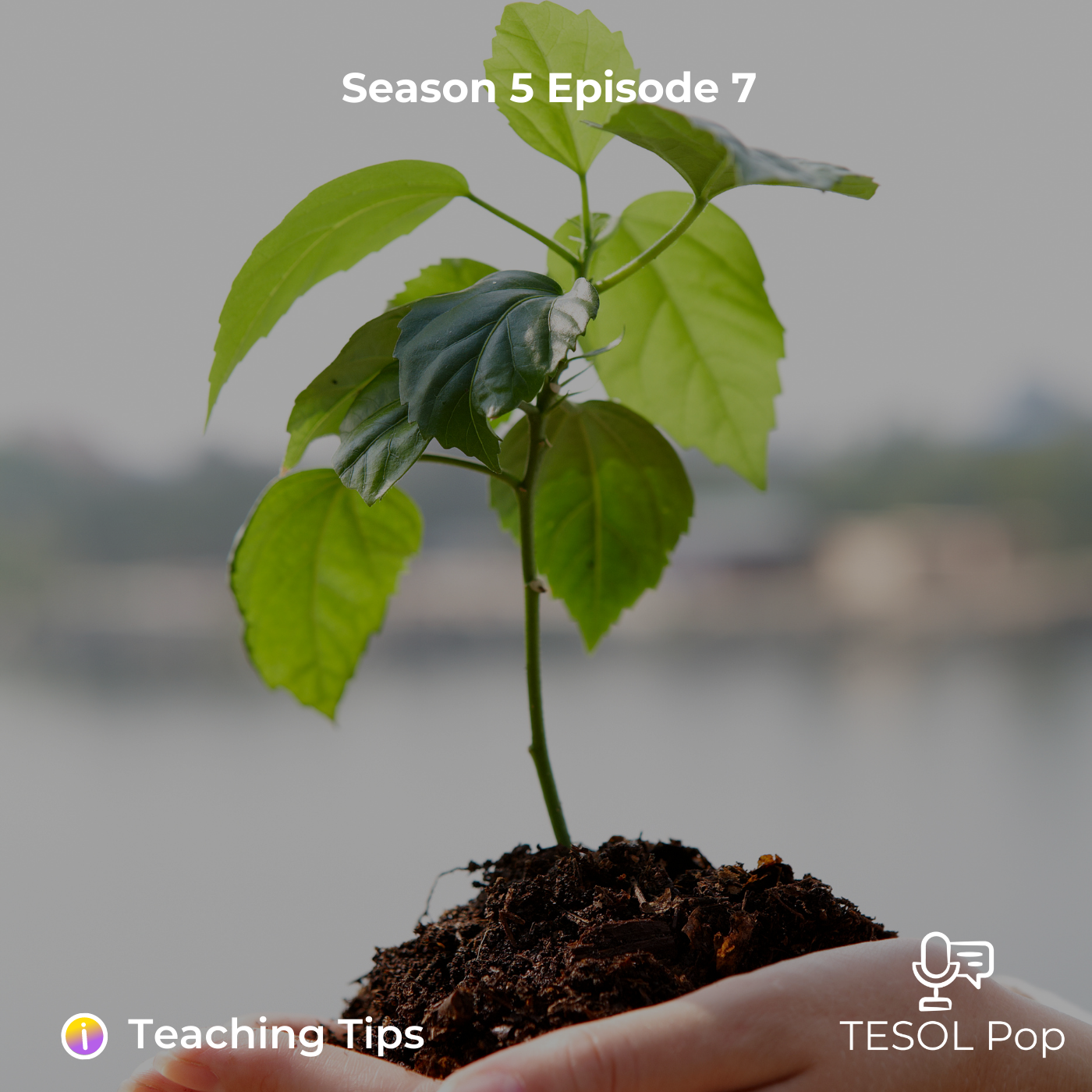 S5E7: The Know, Show, and Grow Stages of Teaching and Learning