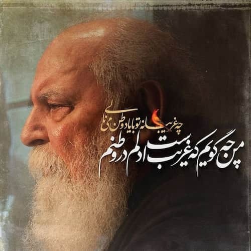 چه غریبانه تو با یاد وطن می نالی