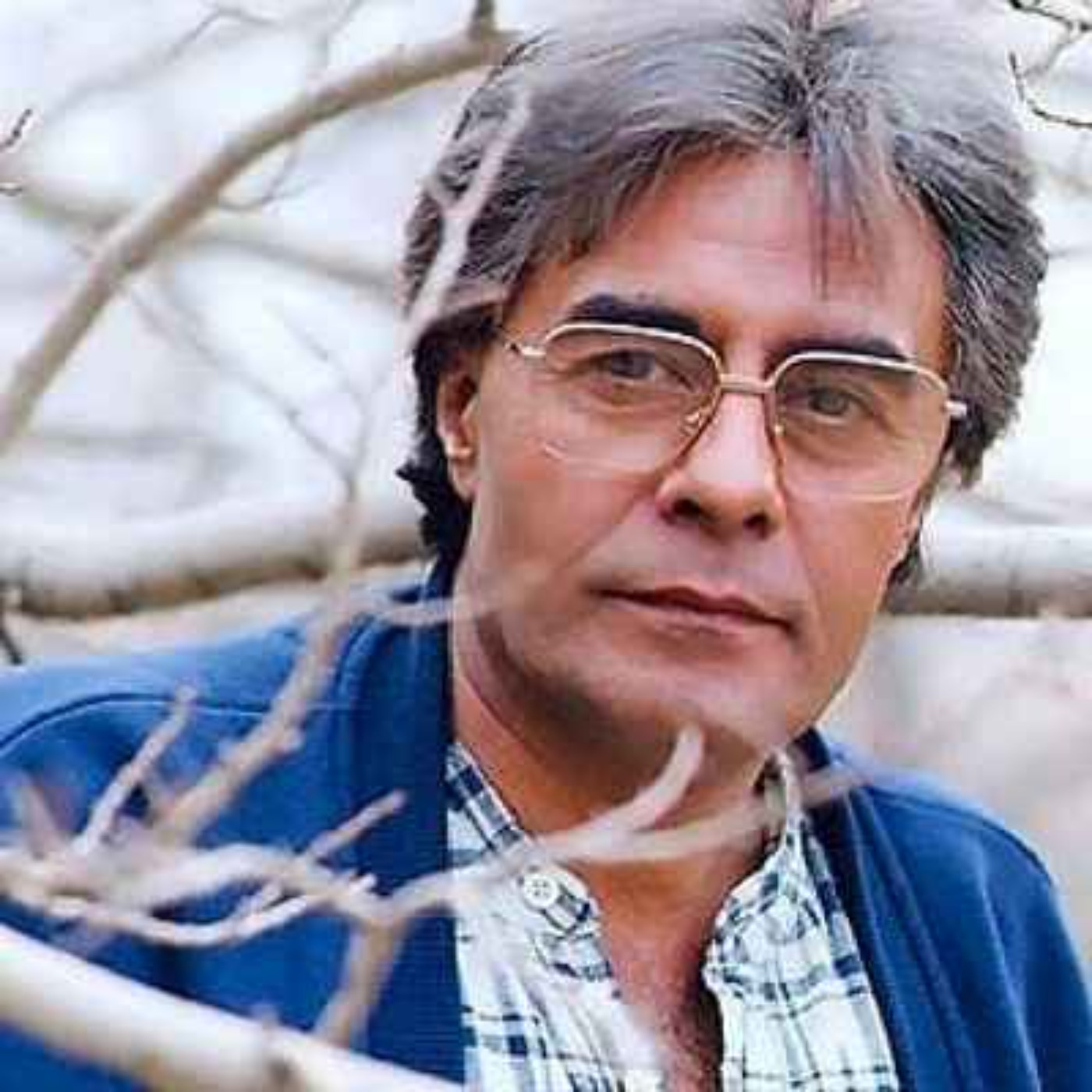 کاور فلسفه های لاجوردی