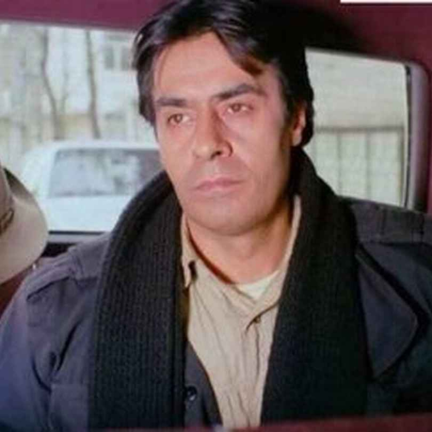 حکیمی پسران را پند همی داد