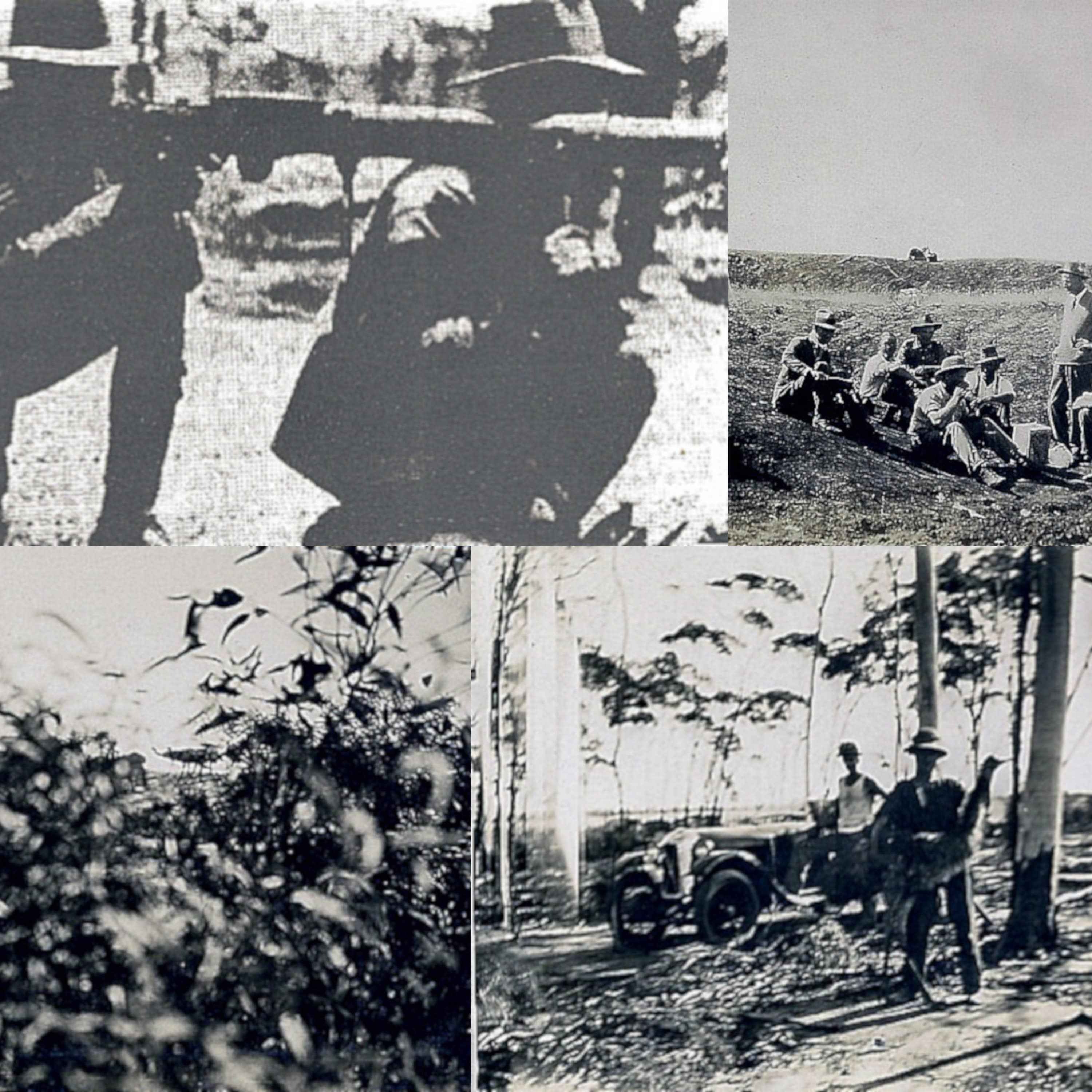 Episode 75: The Great Emu War