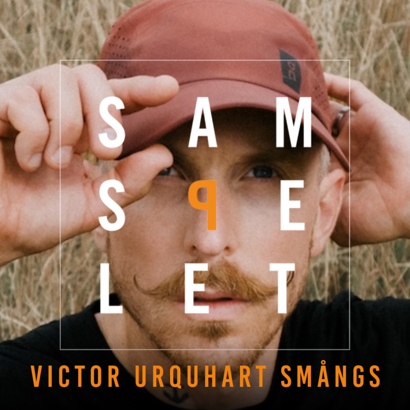 Samspelet