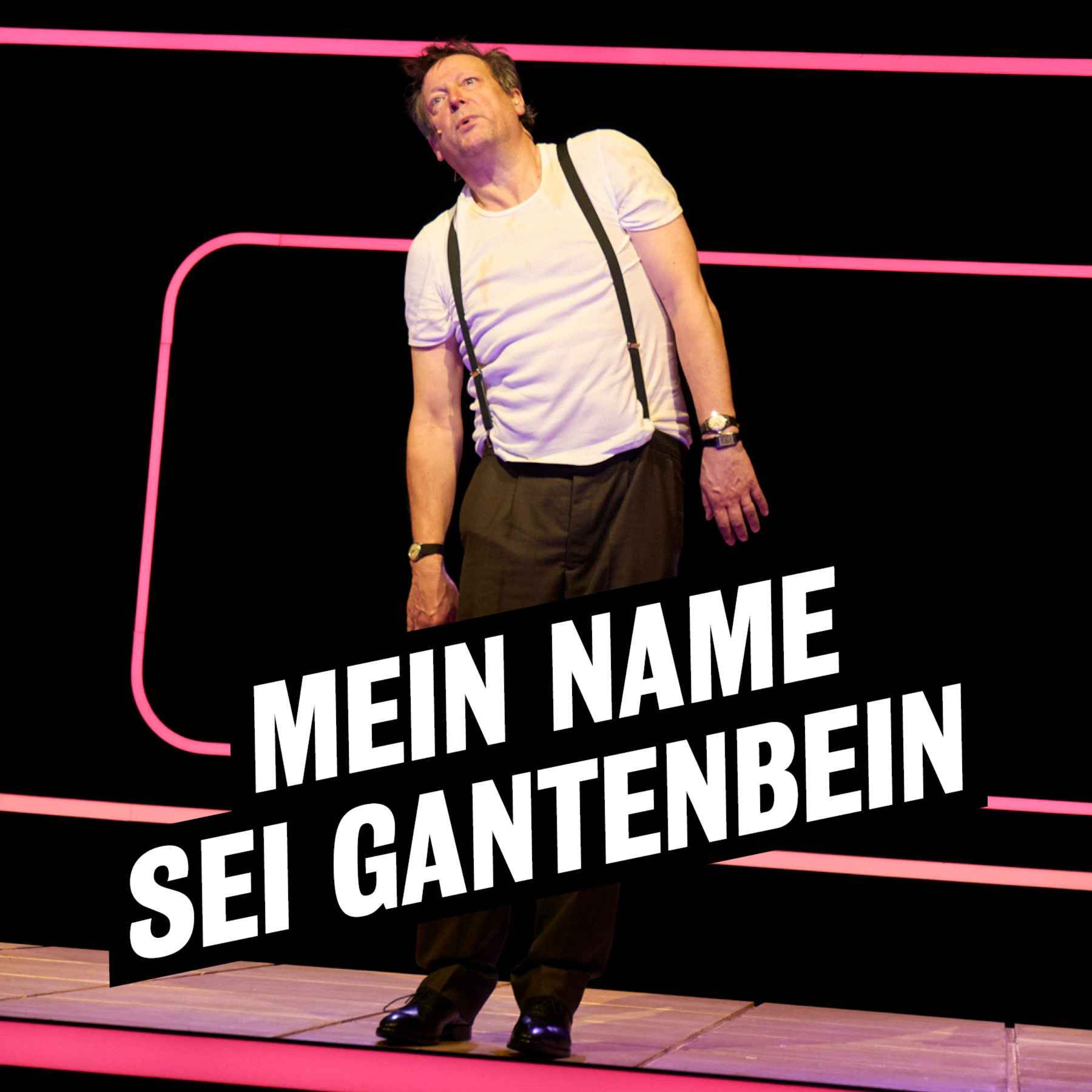 cover art for Audioeinführung "Mein Name sei Gantenbein"