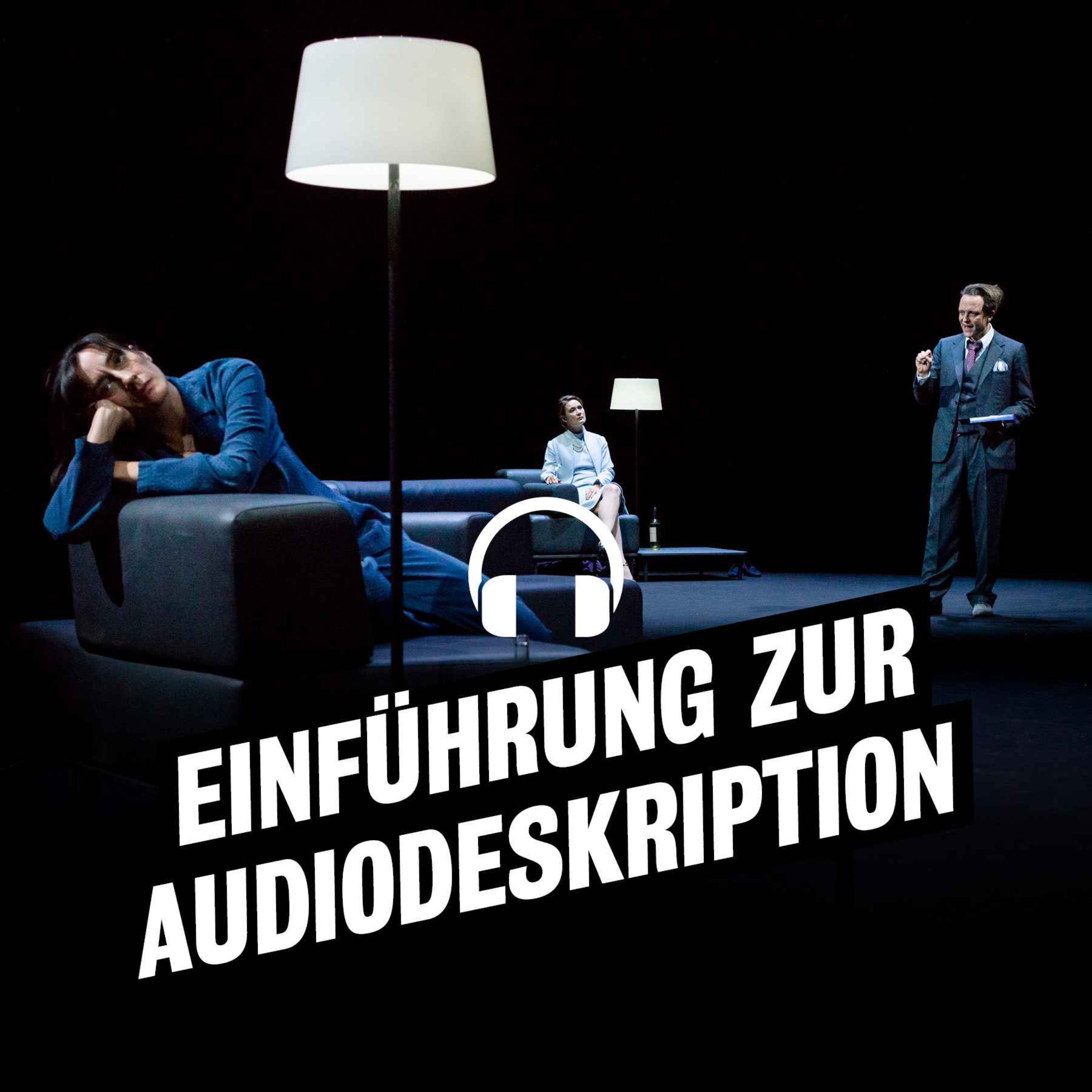 cover art for Audiodeskriptive Einführung "Drei Mal Leben"