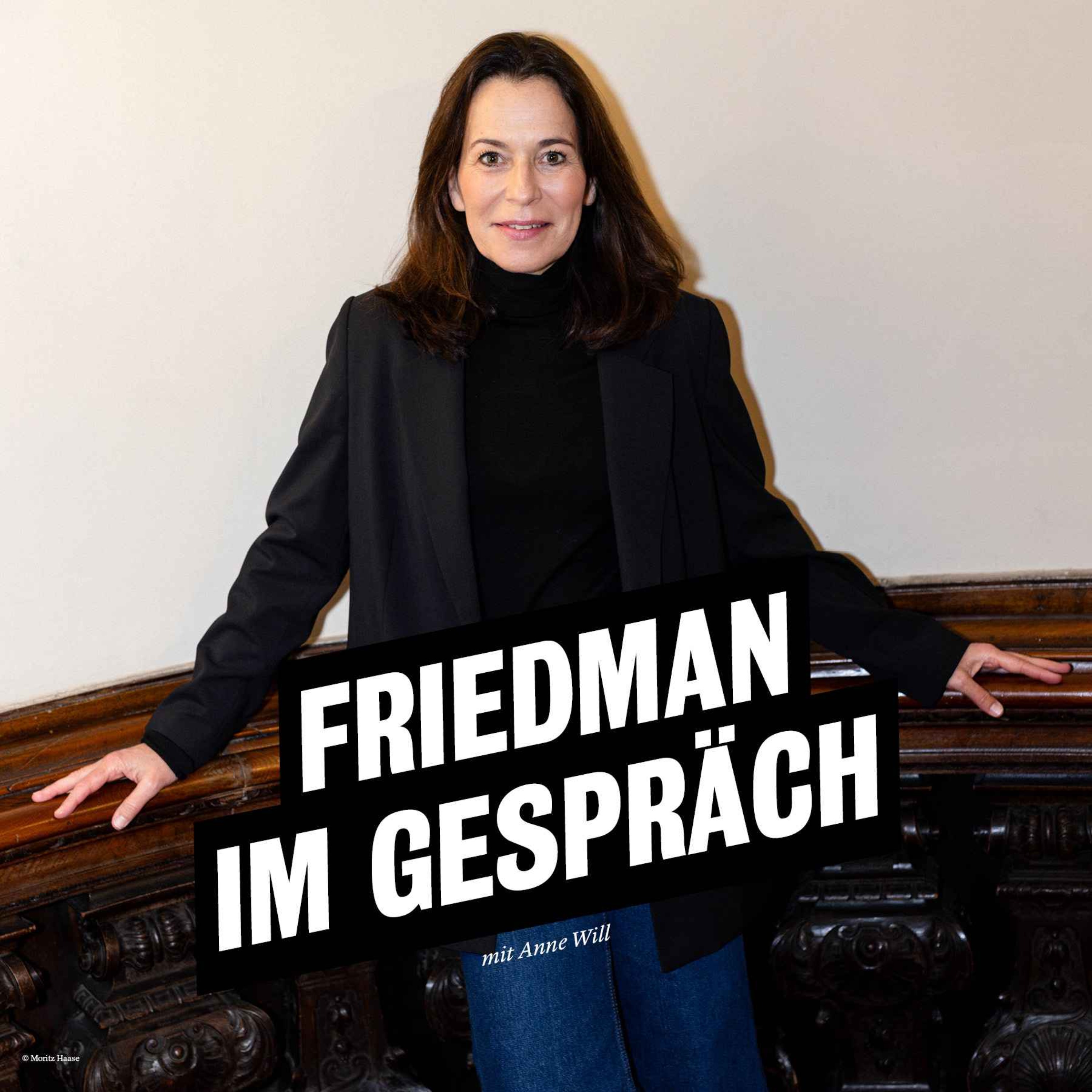 cover art for Friedman im Gespräch: Streit