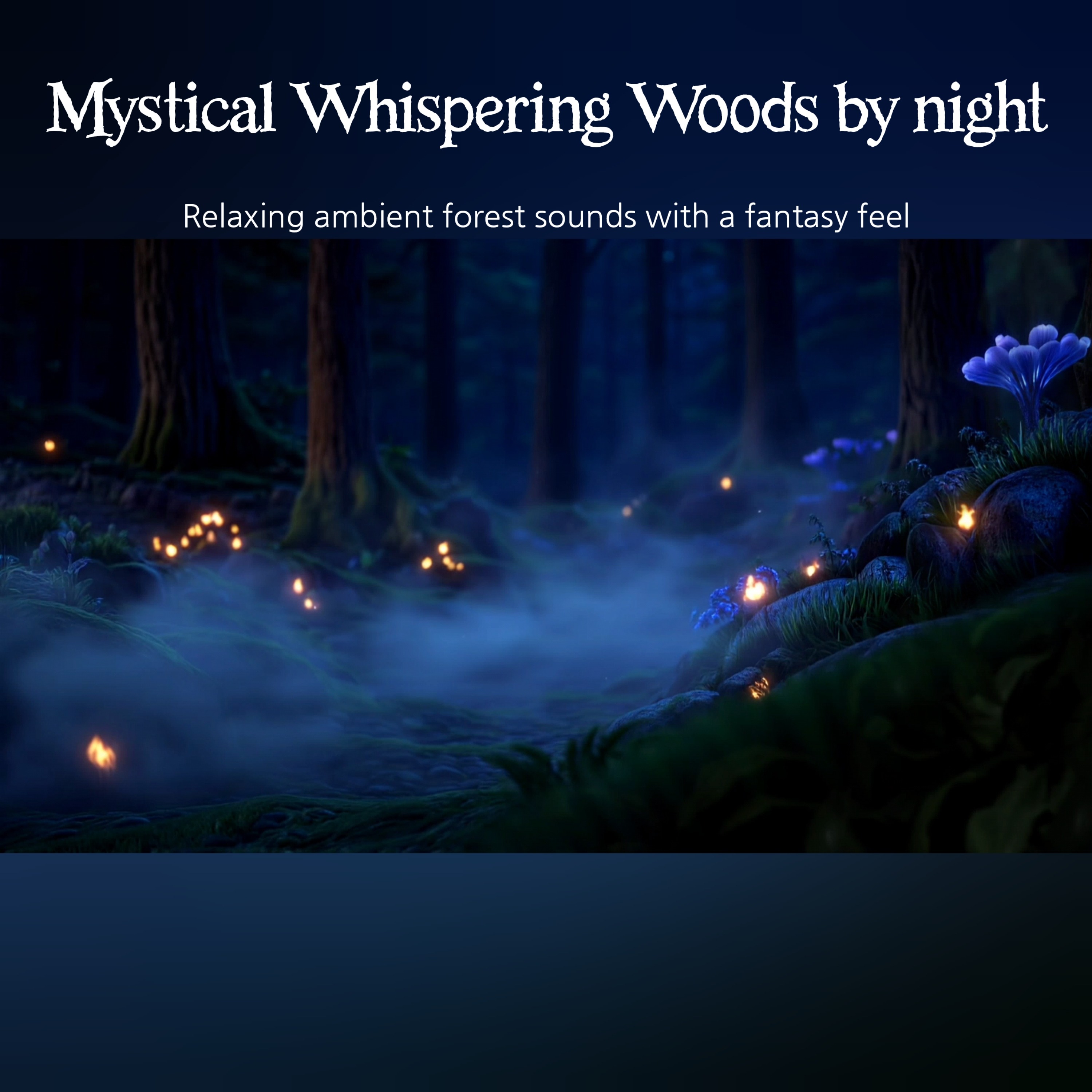 🎧Mystical Whispering Woods by night