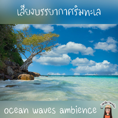 🎧ocean waves ambience | water lapping | distant seagulls | clam nature sounds