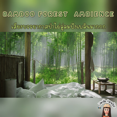 🎧Bamboo forest Ambience | bird sounds | bamboo creaking super relax!! เสียงป่าไผ่ลู่ลมแสนสบาย