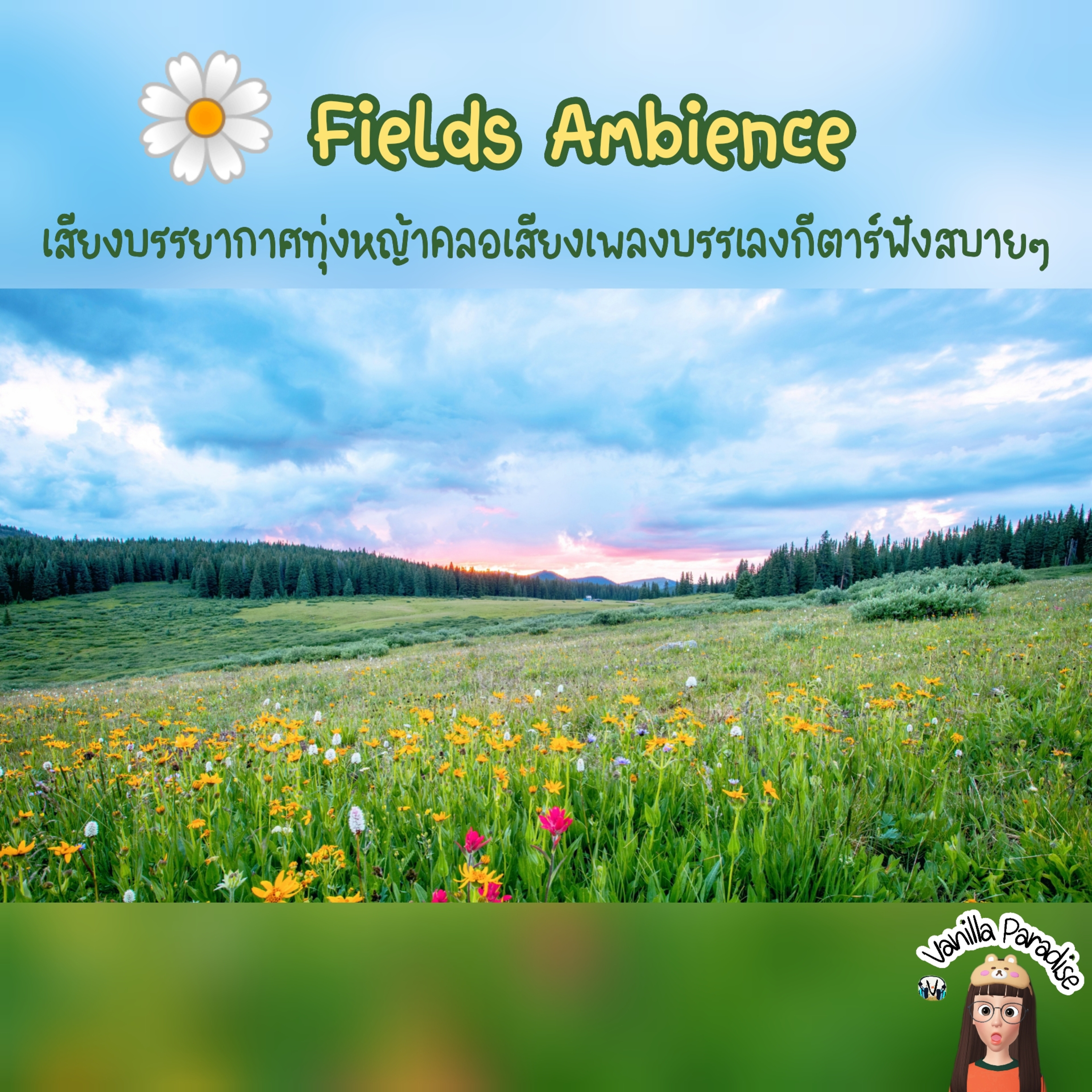🎧Fields ambience | wind blowing | bird sounds | relaxing guitar music.