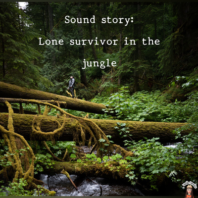 🎧​Sound story: Lone survivor​ in the jungle​ | storytelling​ using​ only sound effects