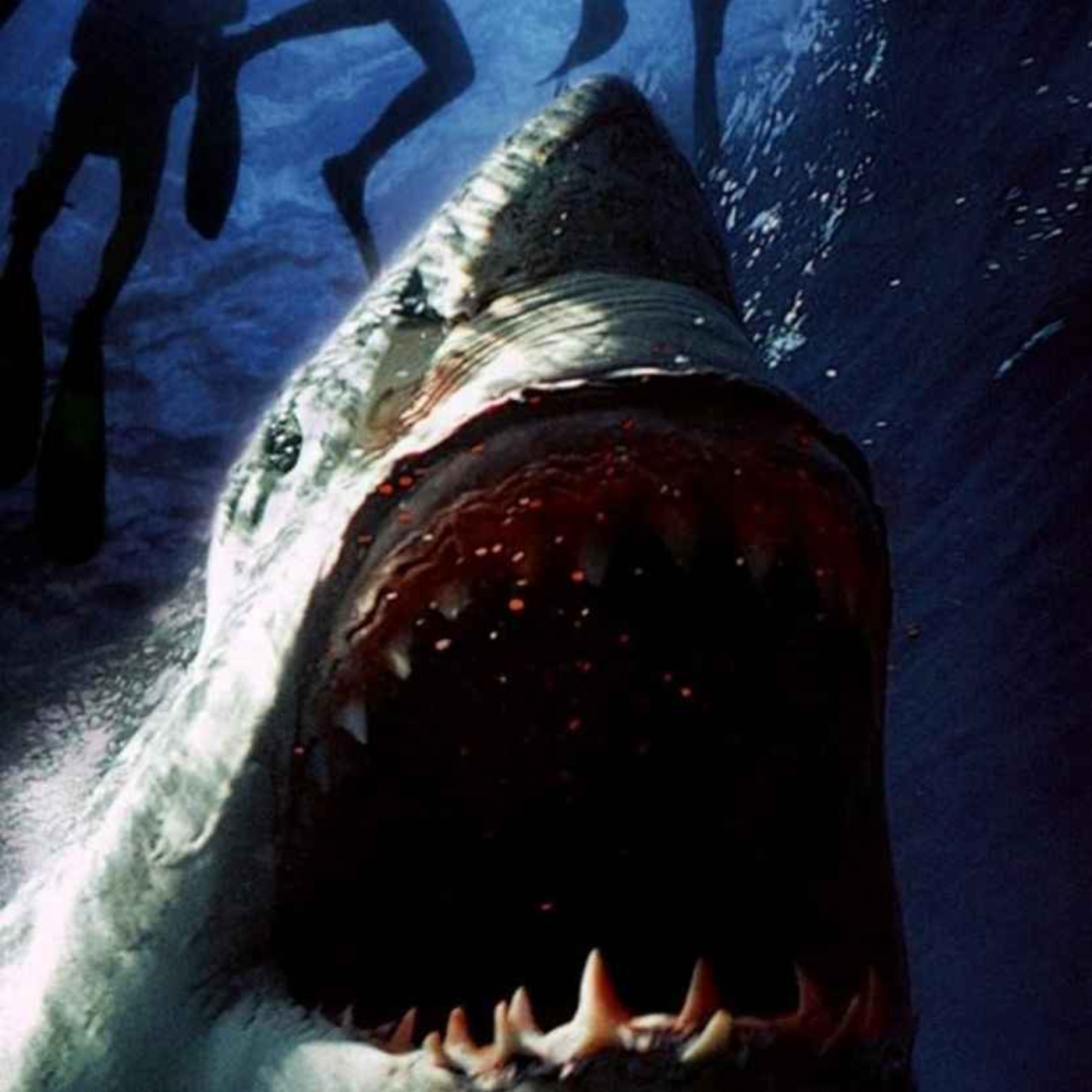 Raging Sharks (2005)