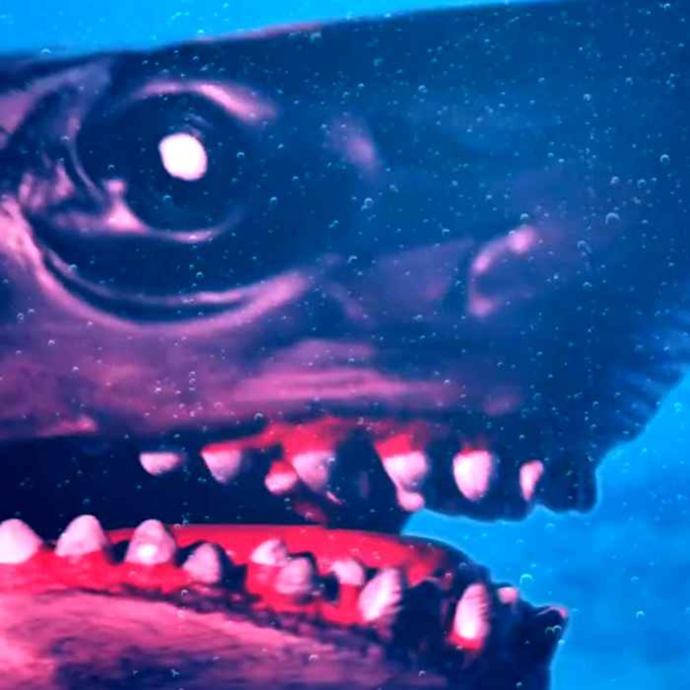 Virus Shark (2021)