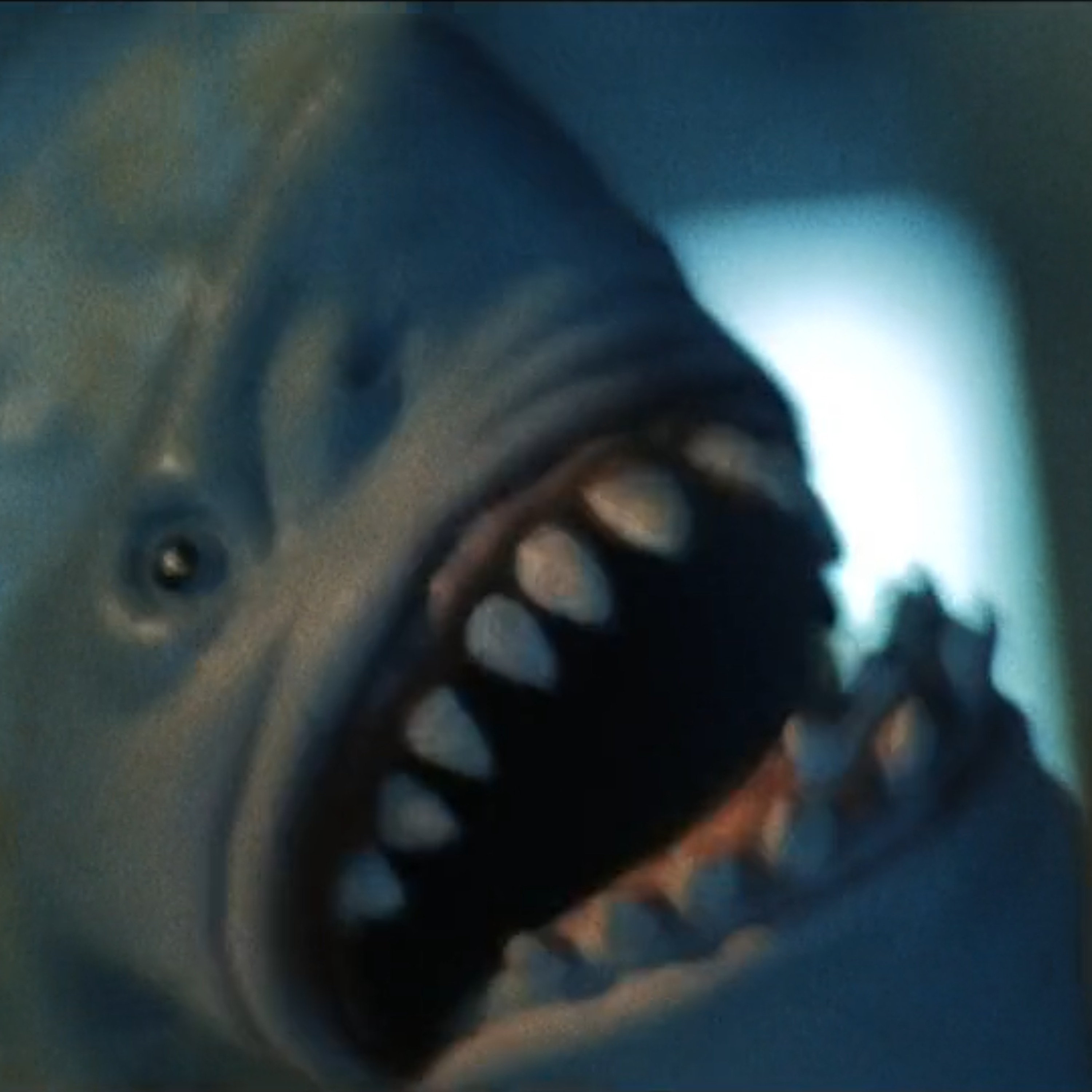 CHUM! (2024)