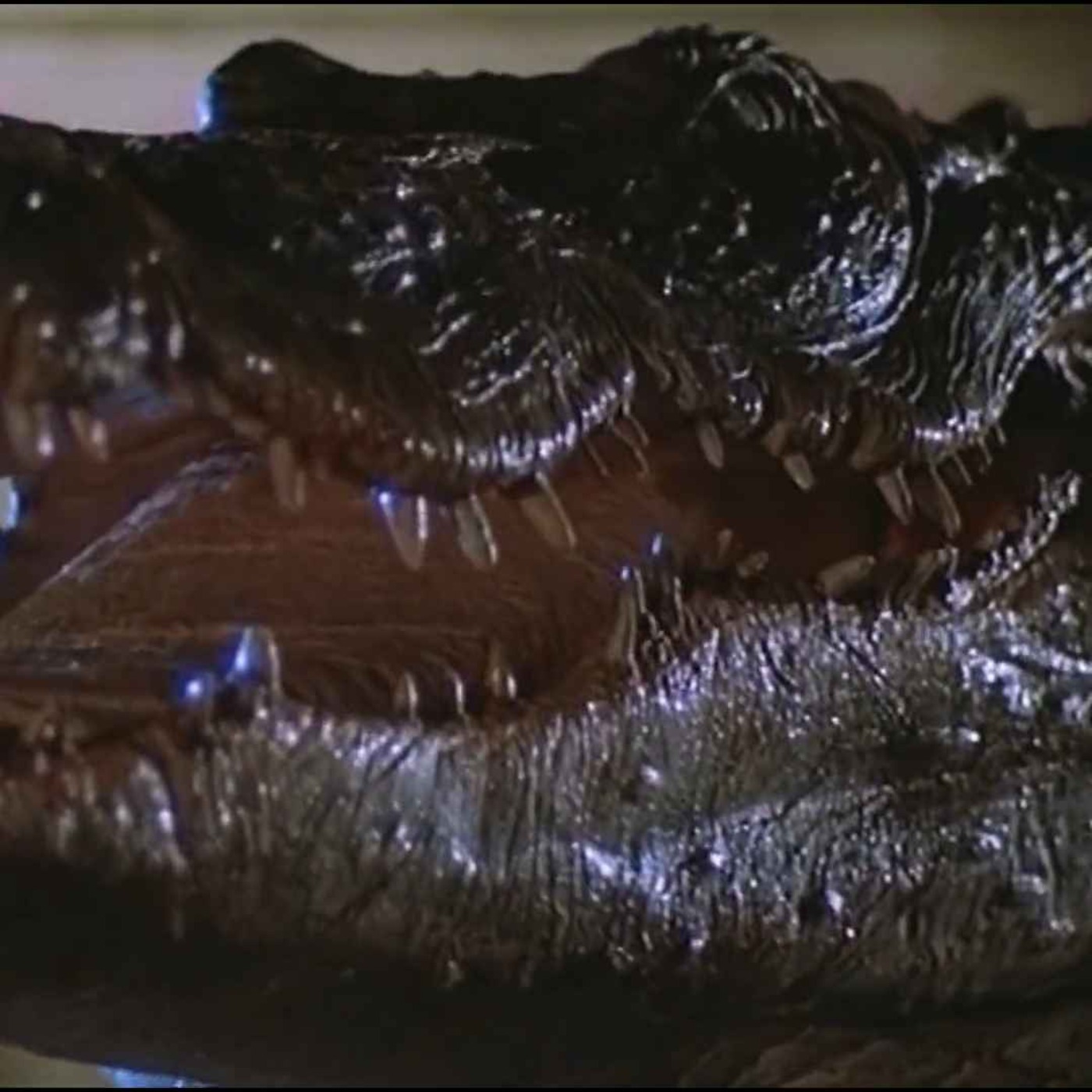 Alligator (1980)
