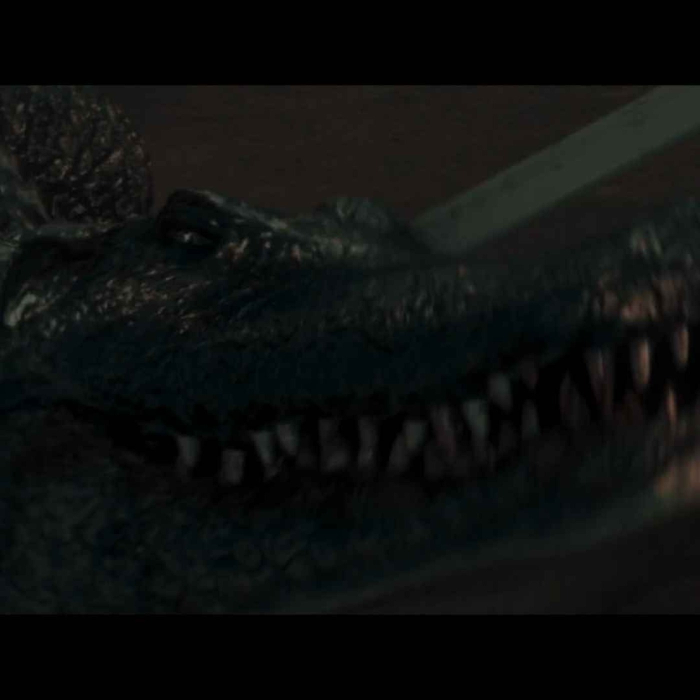 The Flood (2023)
