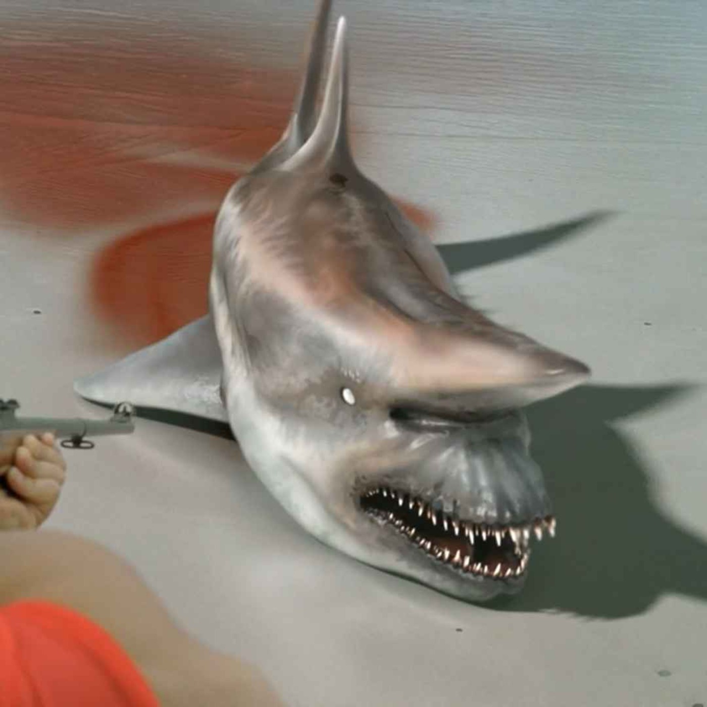 Malibu Shark Attack (2009) Malibu Shark Attack (2009)
