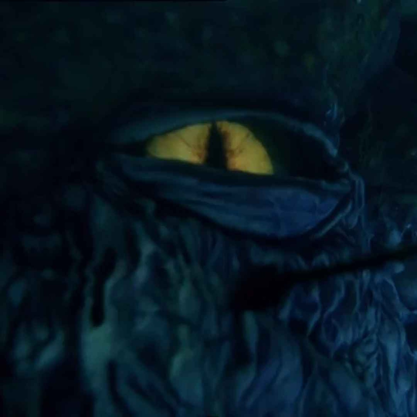 Octopus 2: River of Fear (2001) Octopus 2: River of Fear (2001)