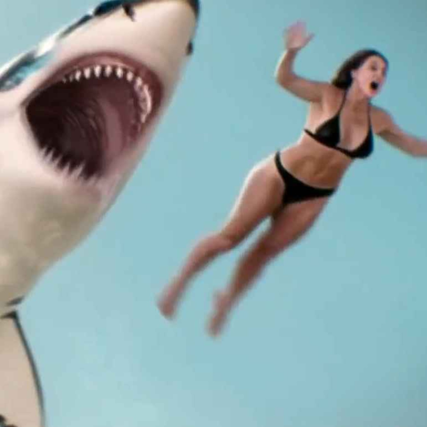 Water Park Shark (2026) episode artwork