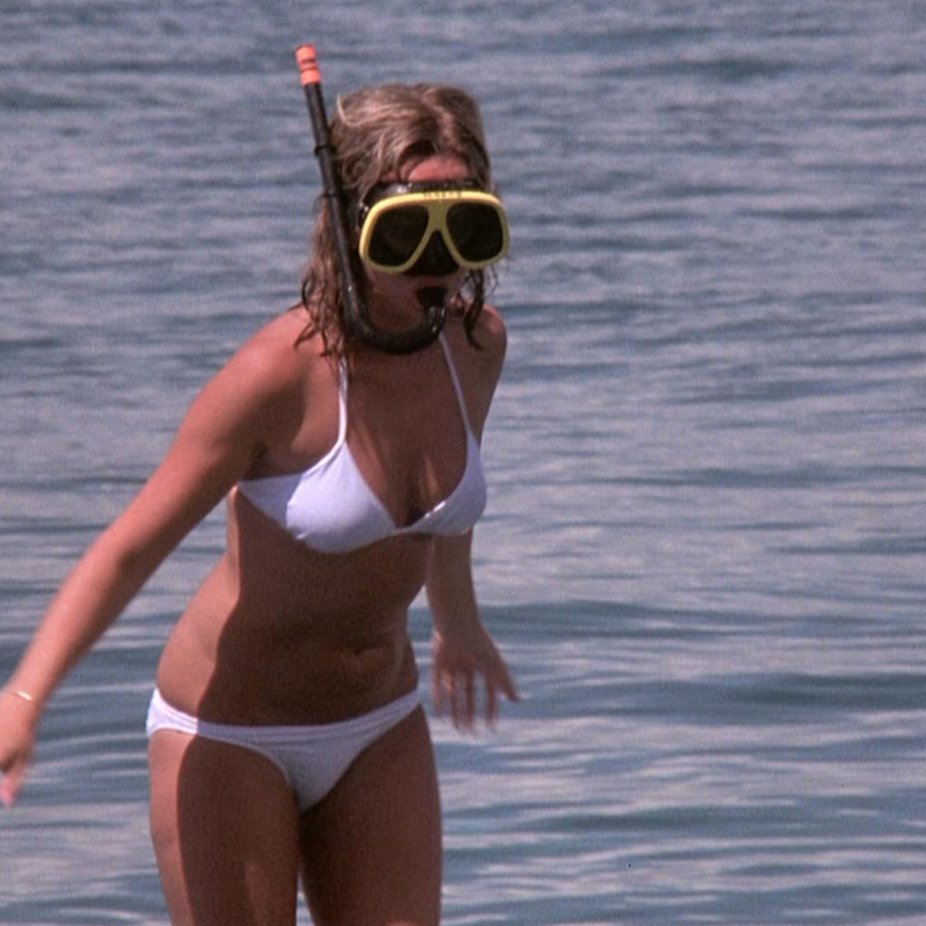 Tintorera...Tiger Shark (1977)