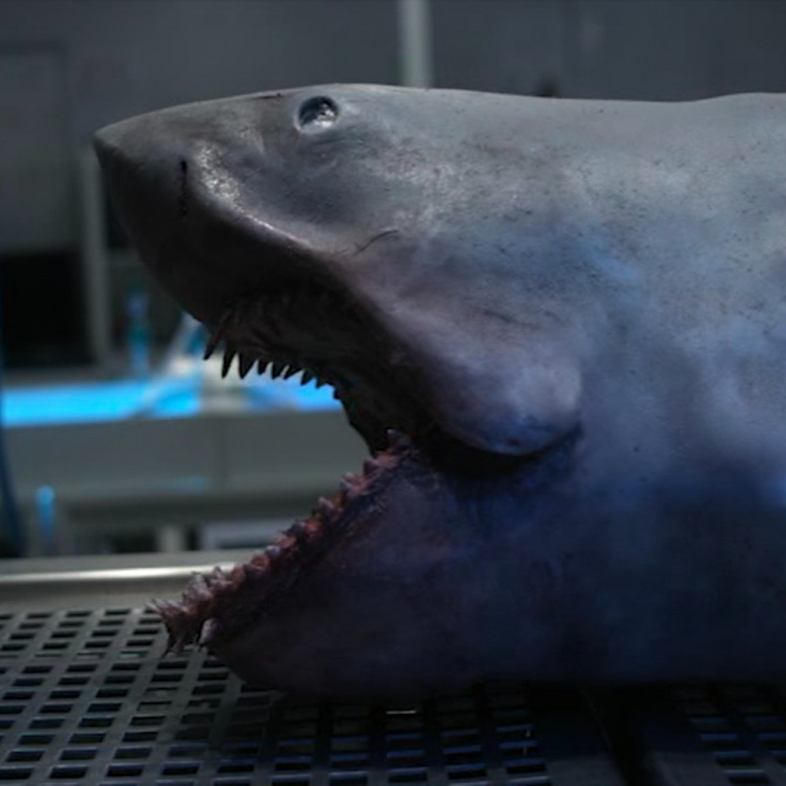 Zombie Shark (2015)