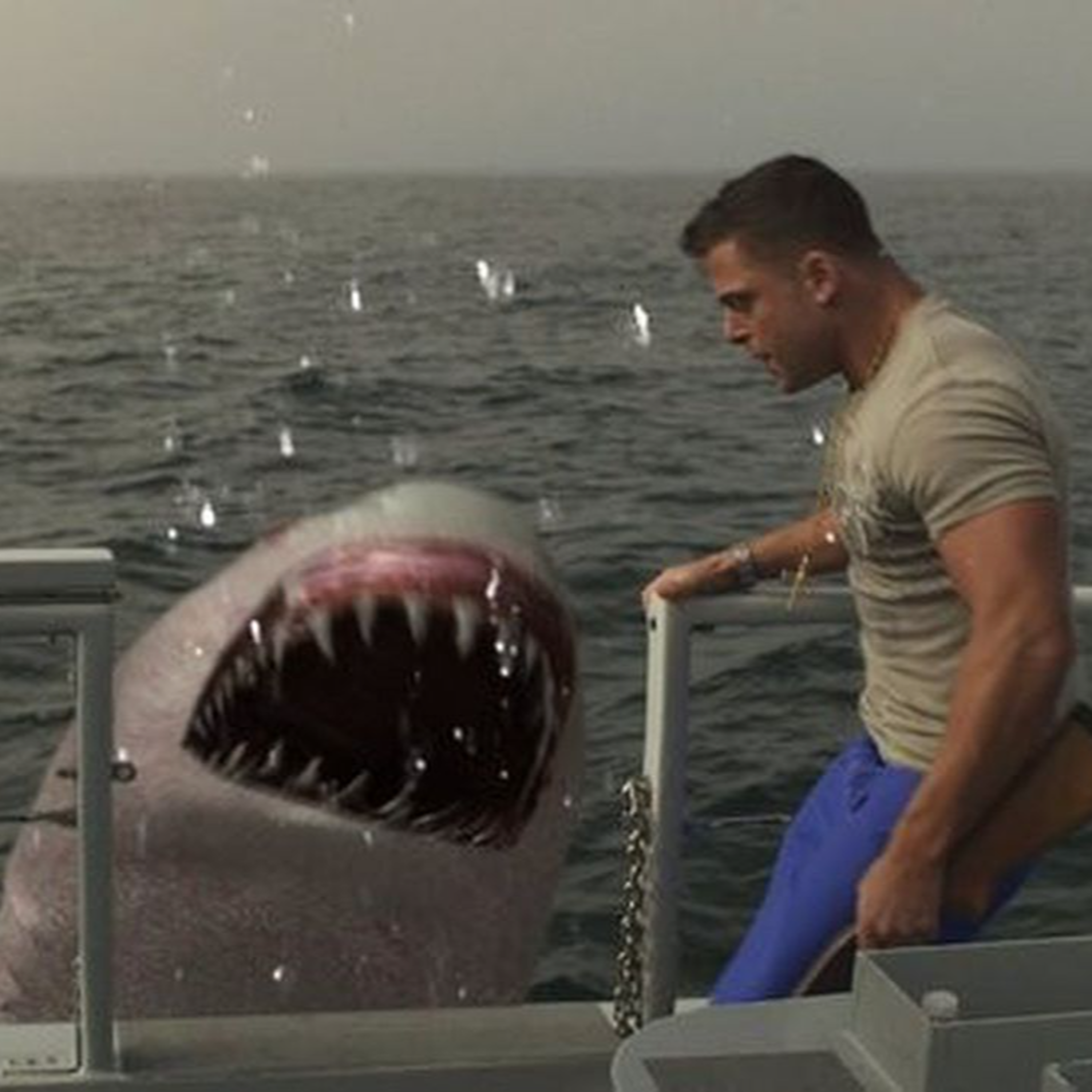 Jersey Shore Shark Attack (2012)