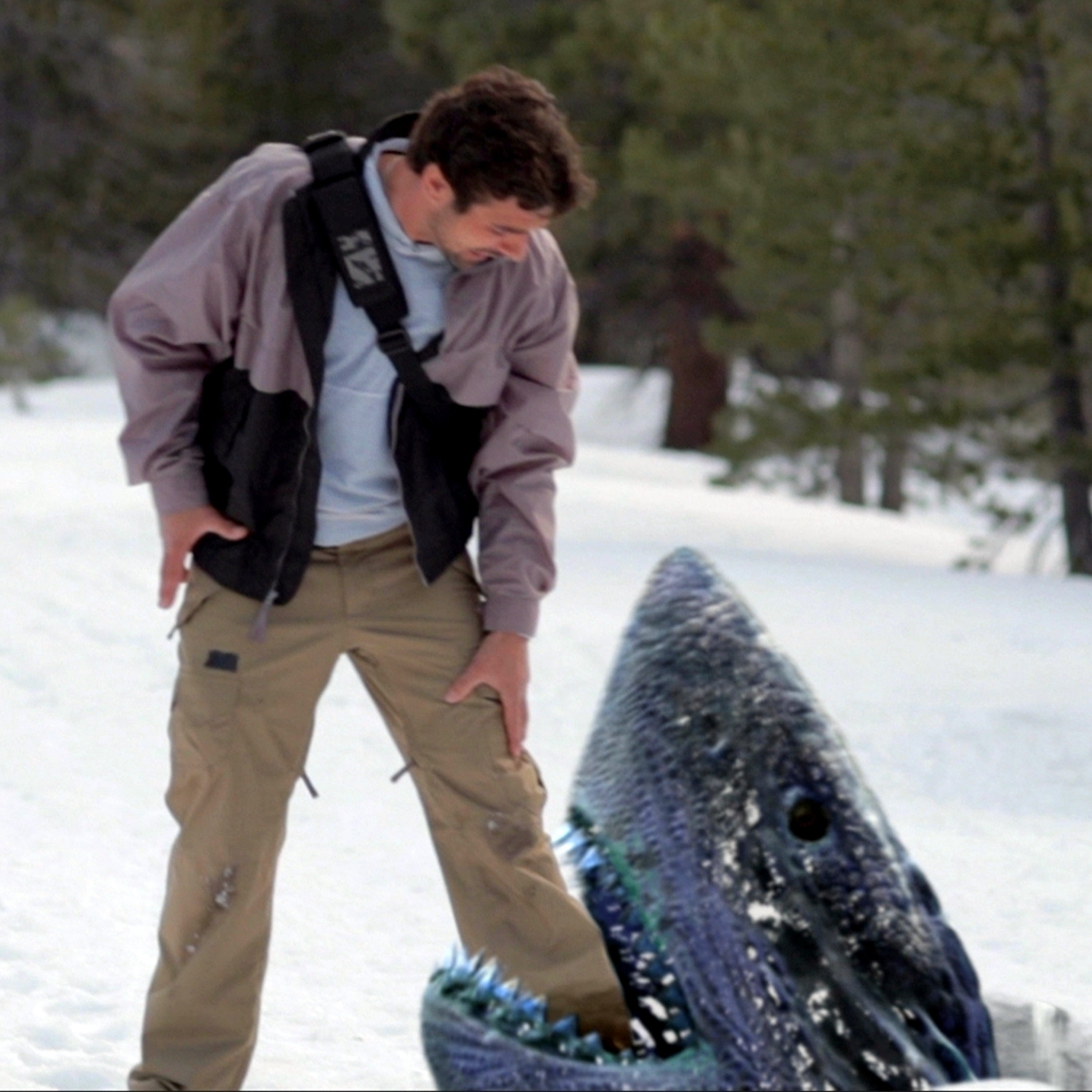 Avalanche Sharks (2014)