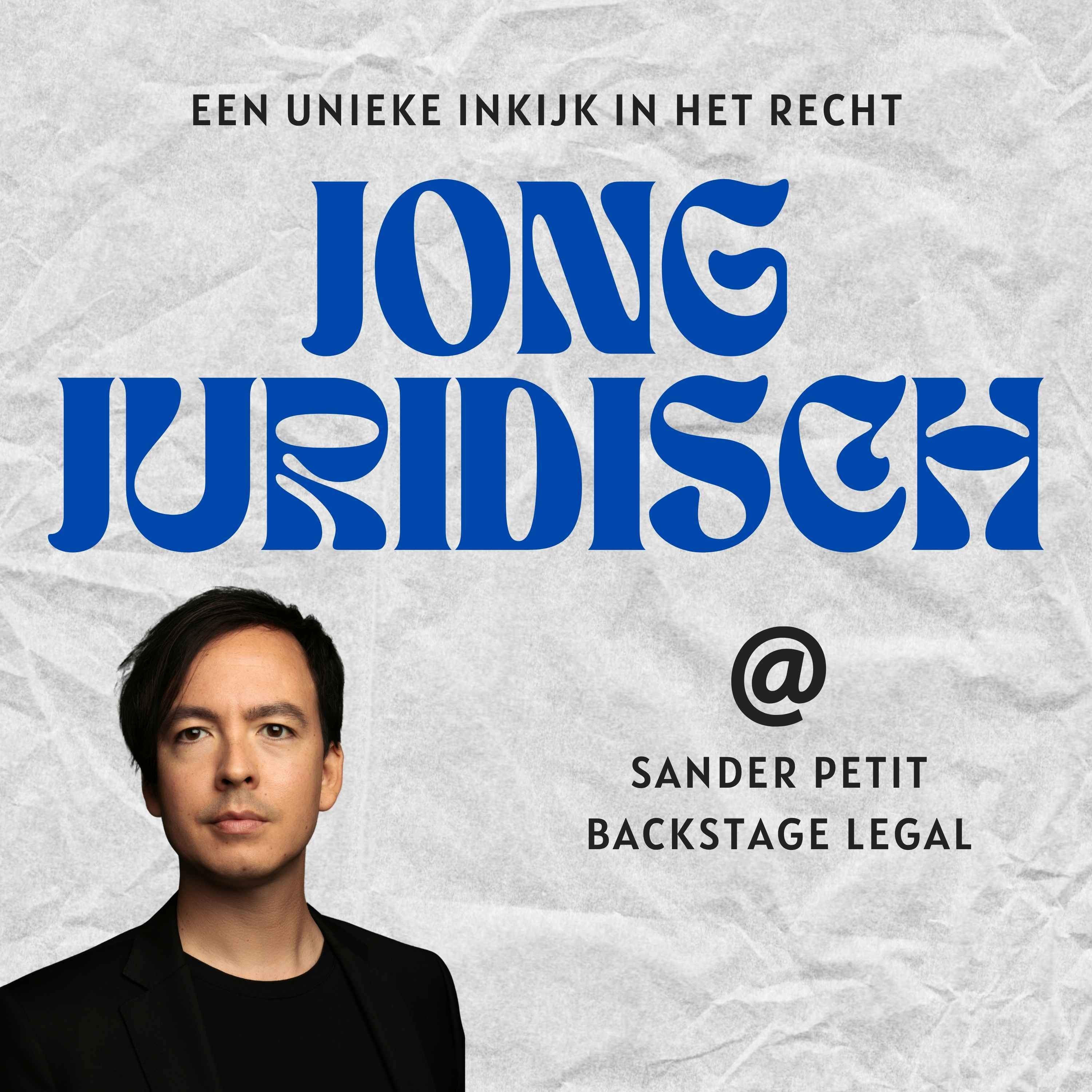 Sander Petit - Muziekrecht, AI, NFT's, verkopen van muziekrechten, afscheiding van Limburg en de zaak Ronnie Flex episode artwork
