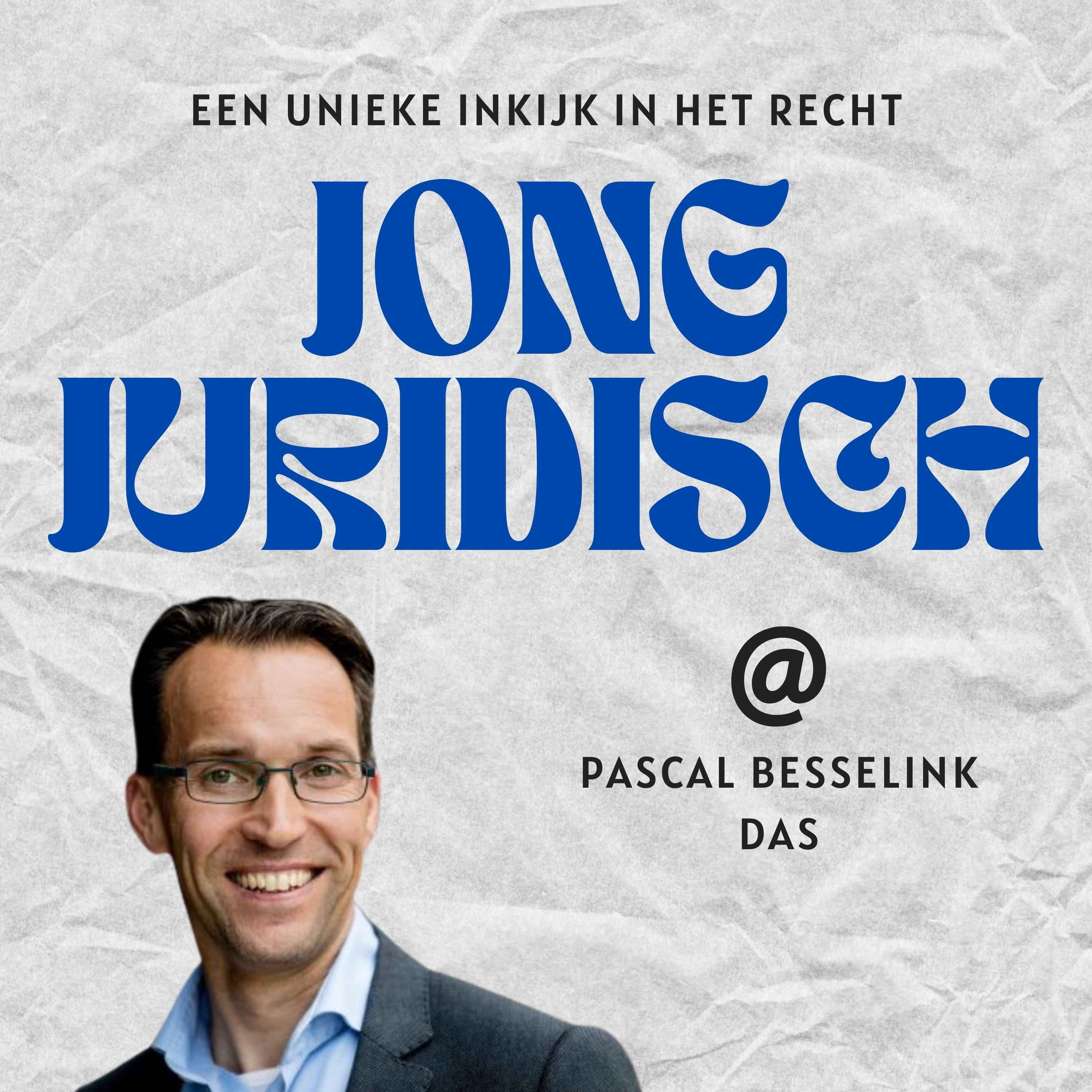 Pascal Besselink - De arbeidsovereenkomst, thuiswerkvergoeding, minimumloon, concurrentiebeding en de toekomst van flexwerk episode artwork