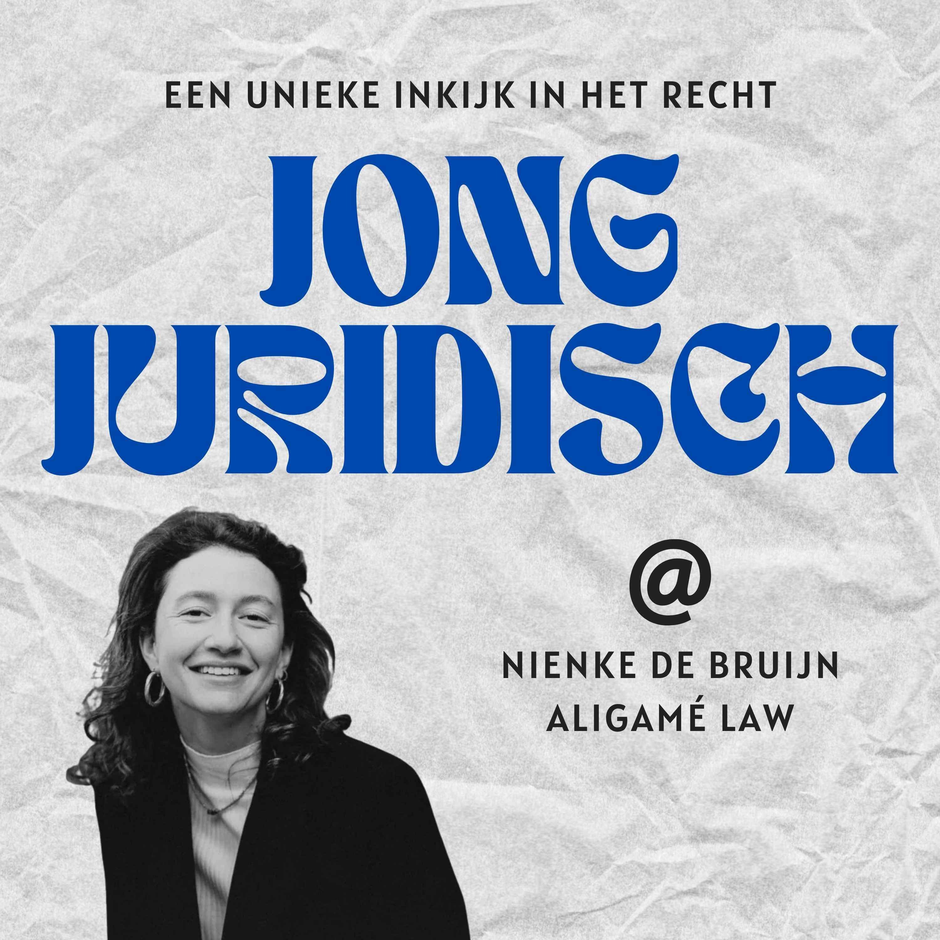 Nienke de Bruijn - Demonstratierecht onder druk, een eigen kantoor en de kracht van zichtbaarheid