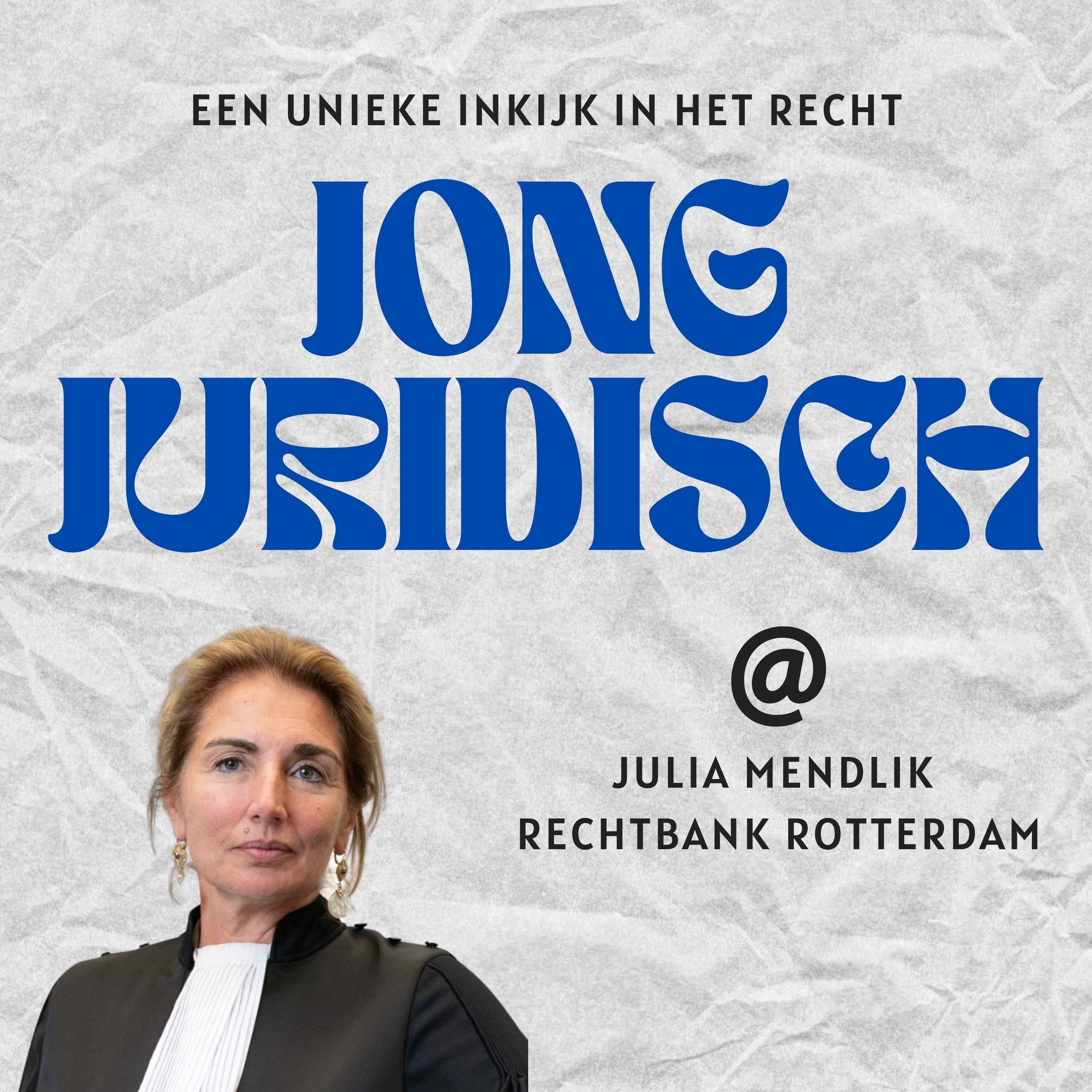Julia Mendlik - De rechtsstaat onder druk, bedreigde rechters en het recht dichter bij mensen brengen