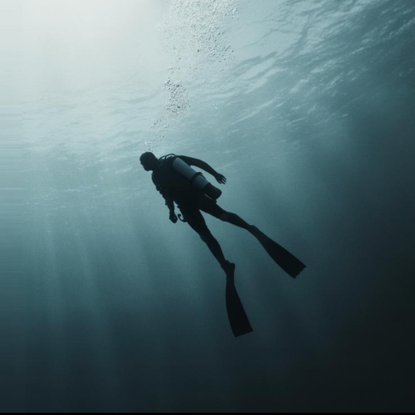 Diving Gone Wrong - The Tragic Loss of Rob Stewart