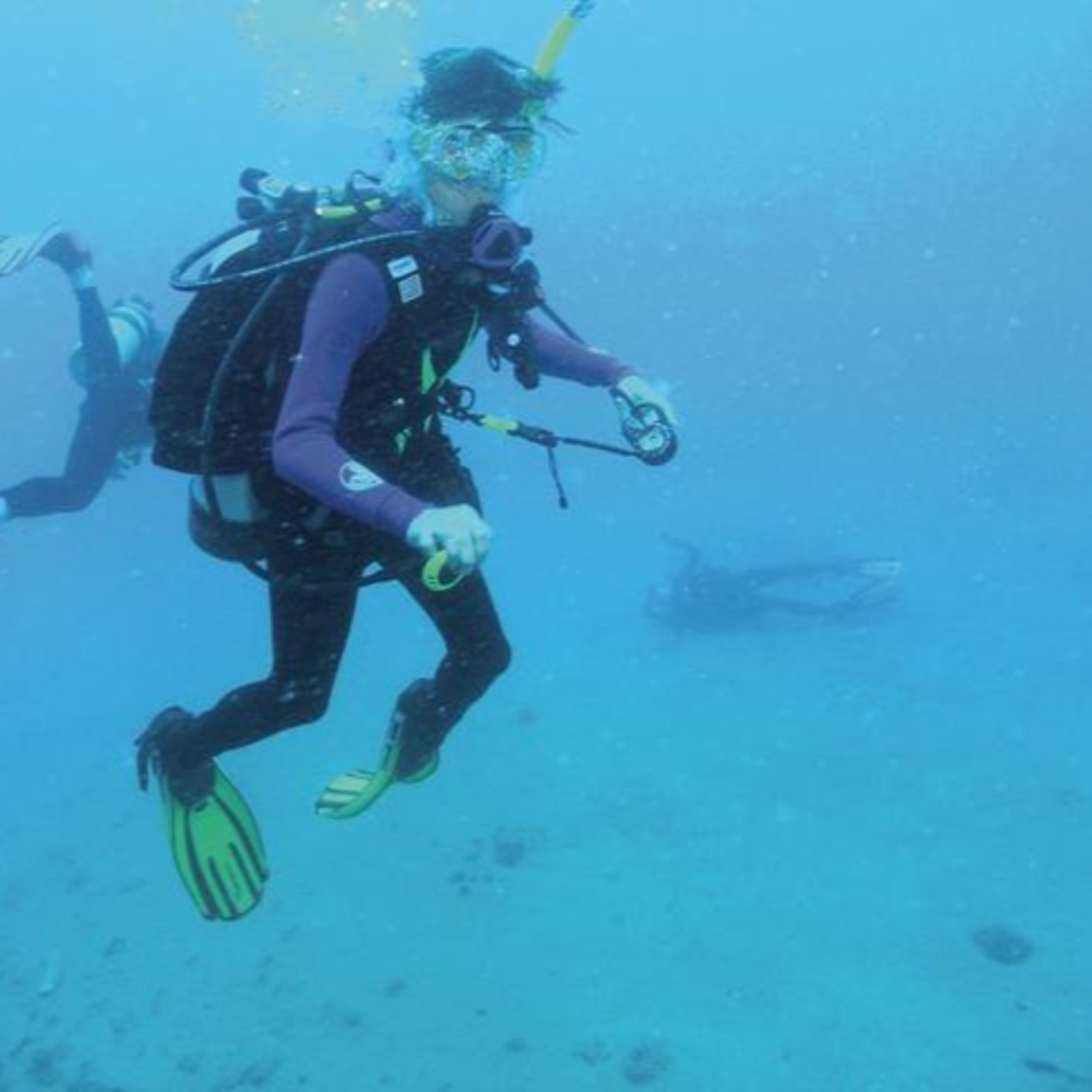 The Diving “Accident” That May Have Been Murder: The Case of Tina Watson