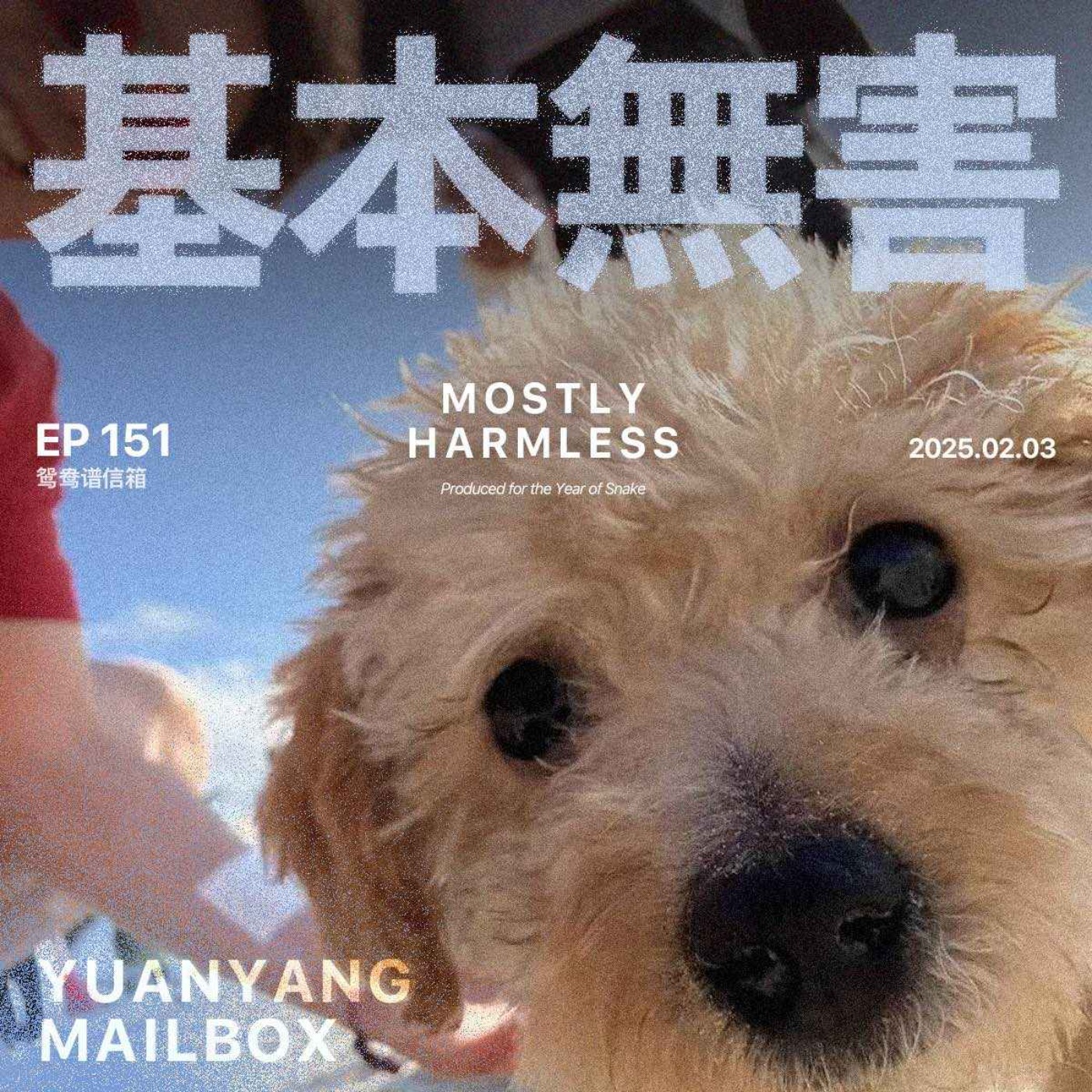 Ep151 鸳鸯谱信箱 | 观察地球人求偶多样性后，我更迷糊了 episode artwork