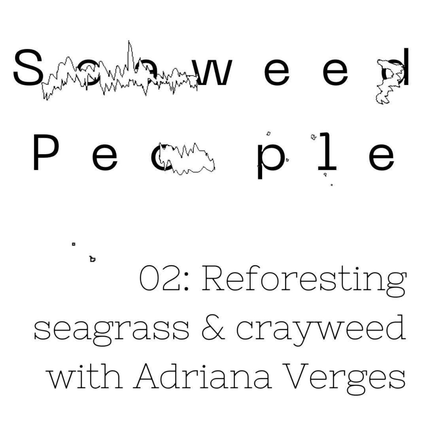Reforesting seagrass & seaweed with Professor Adriana Verges