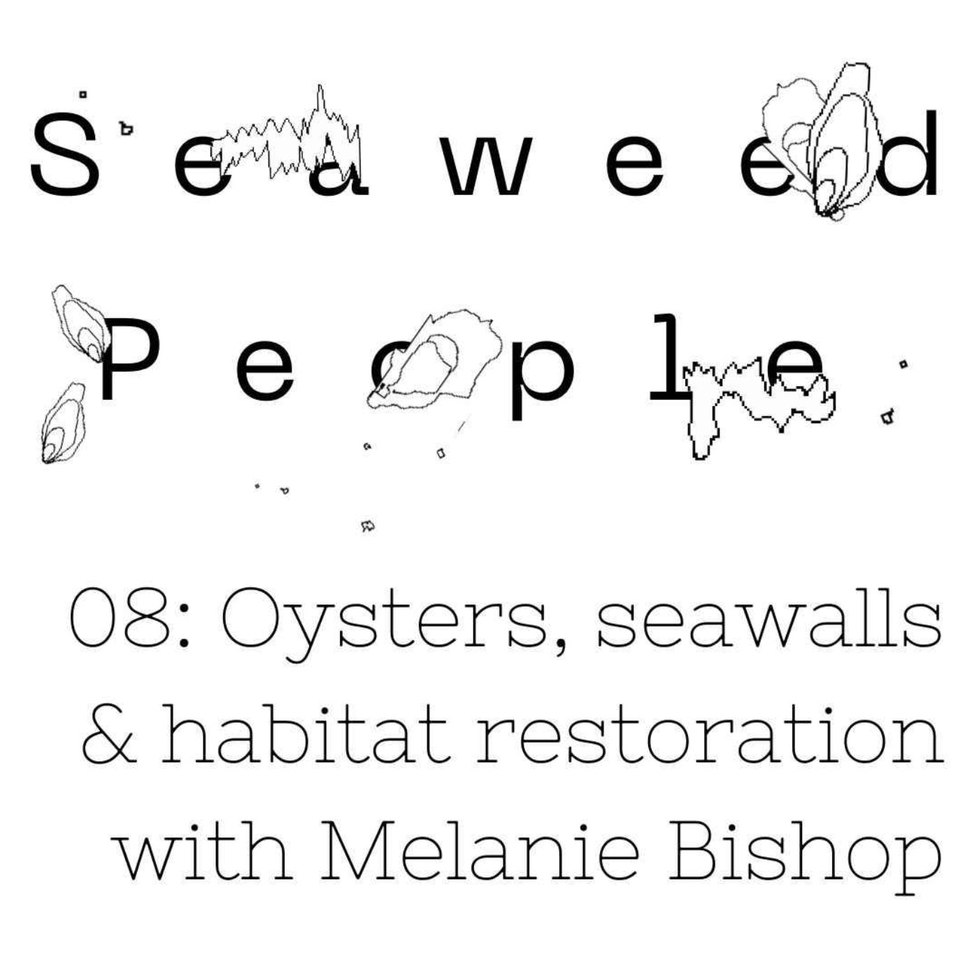Oysters, seawalls & habitat restoration with Melanie Bishop