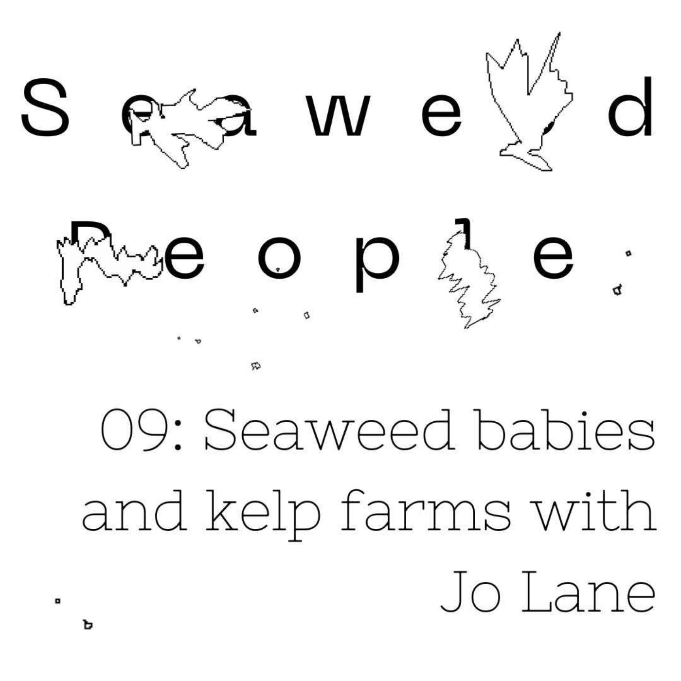 Seaweed babies & kelp farms with Jo Lane