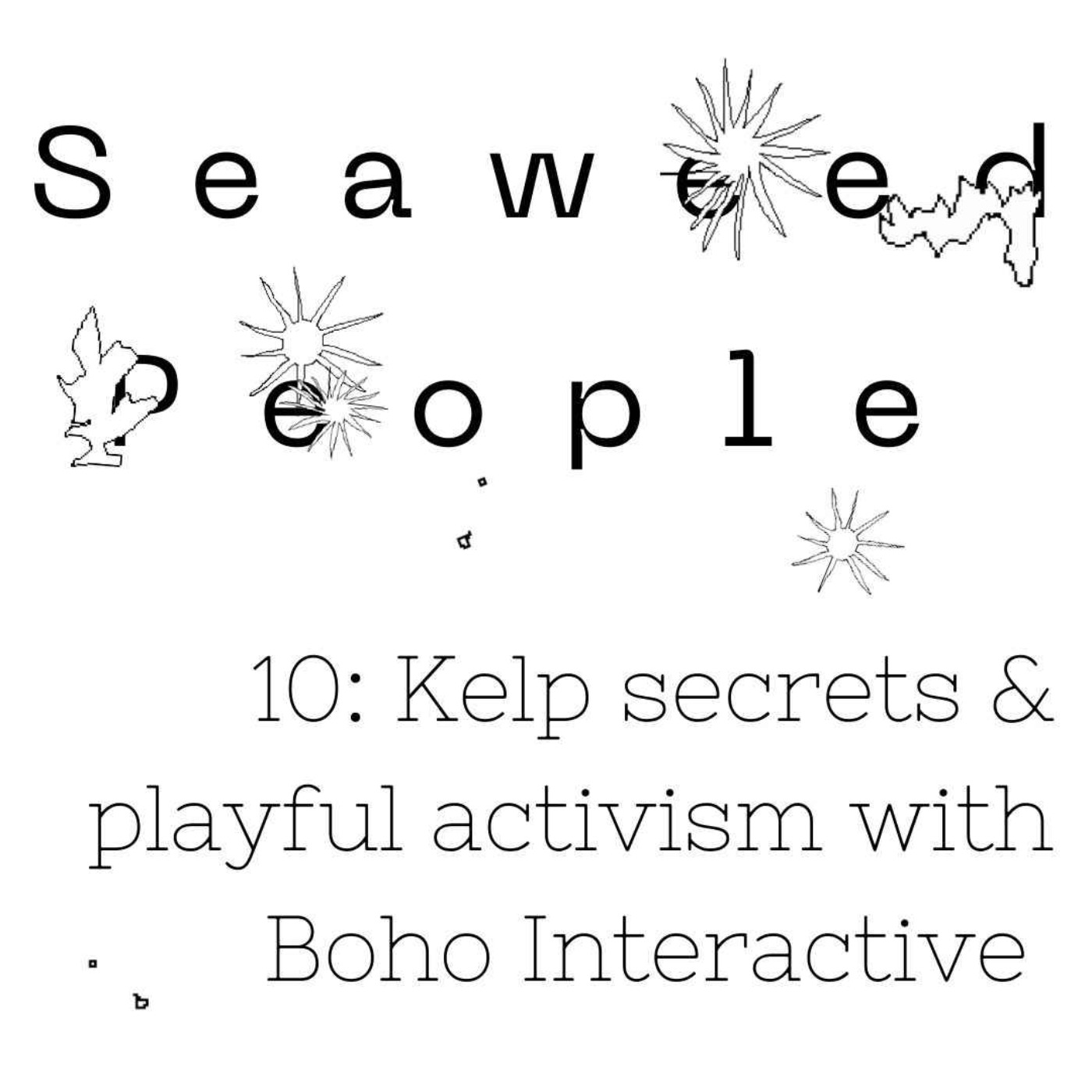 Kelp secrets & playful activism with Boho Interactive