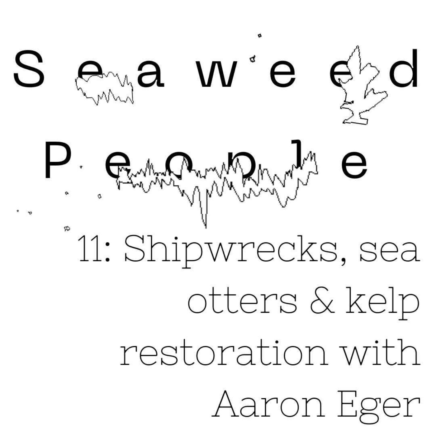 Shipwrecks, sea otters & kelp restoration with Aaron Eger (Kelp Forest Alliance)