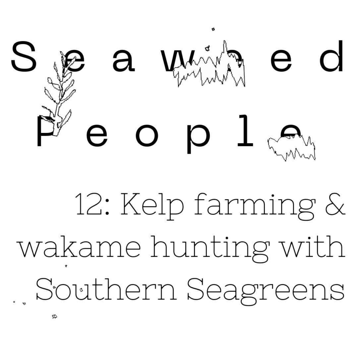 Kelp farming & wakame hunting with Southern Seagreens