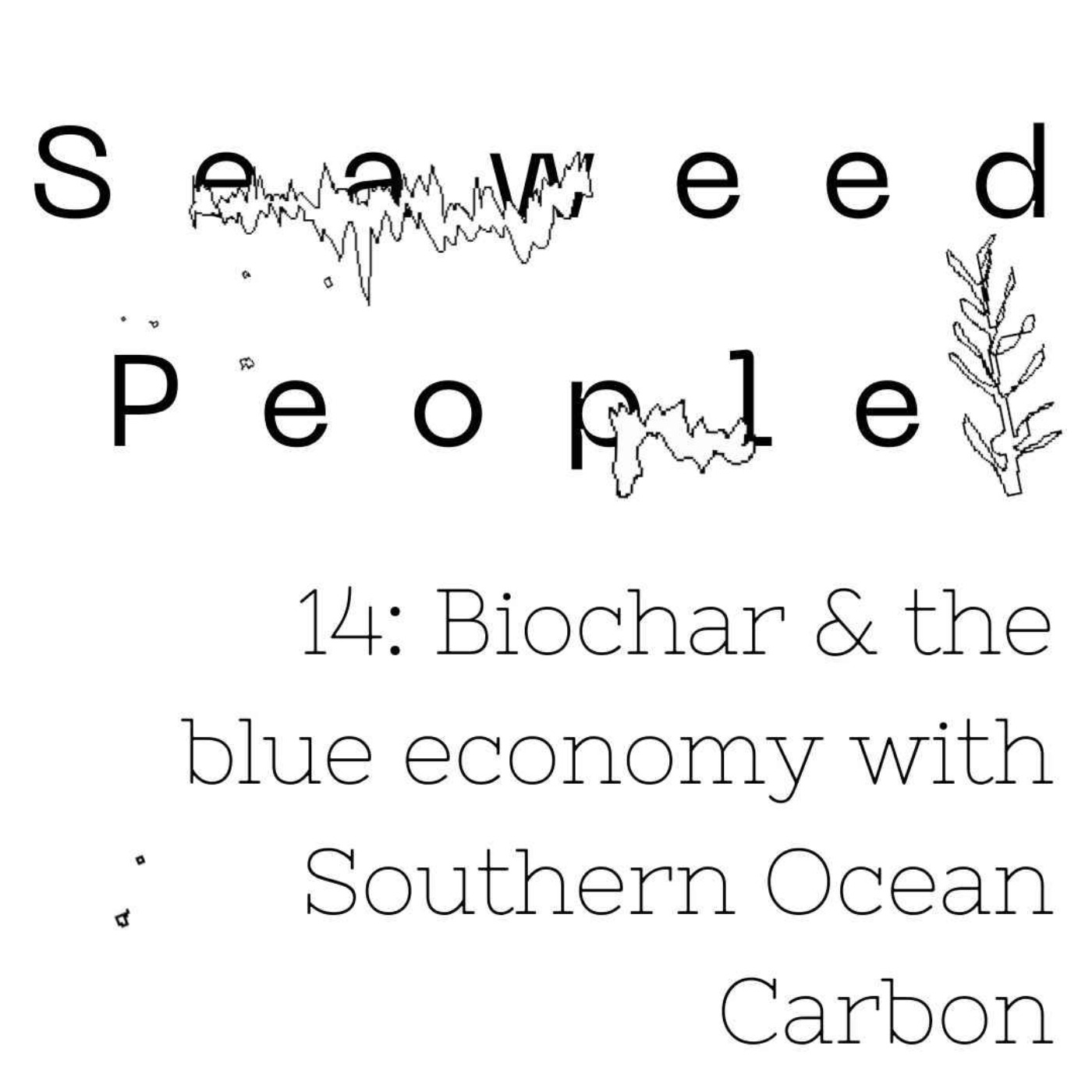 Biochar & the blue economy with Southern Ocean Carbon