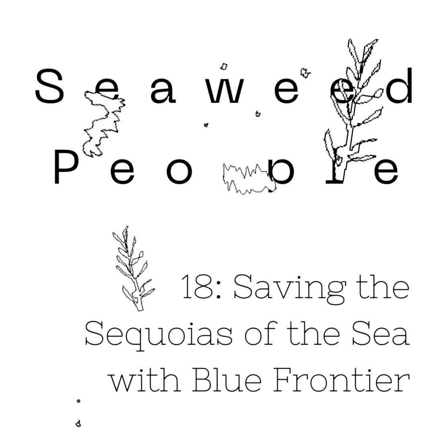 Seaweed People
