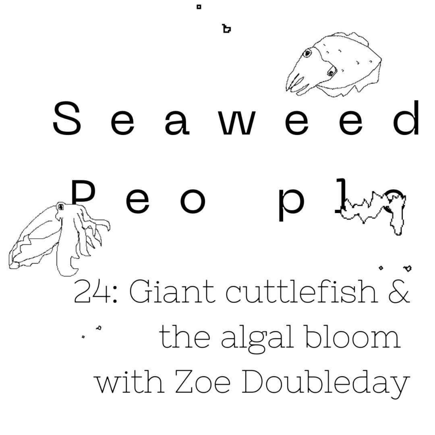 24: Giant cuttlefish & the algal bloom with Zoe Doubleday