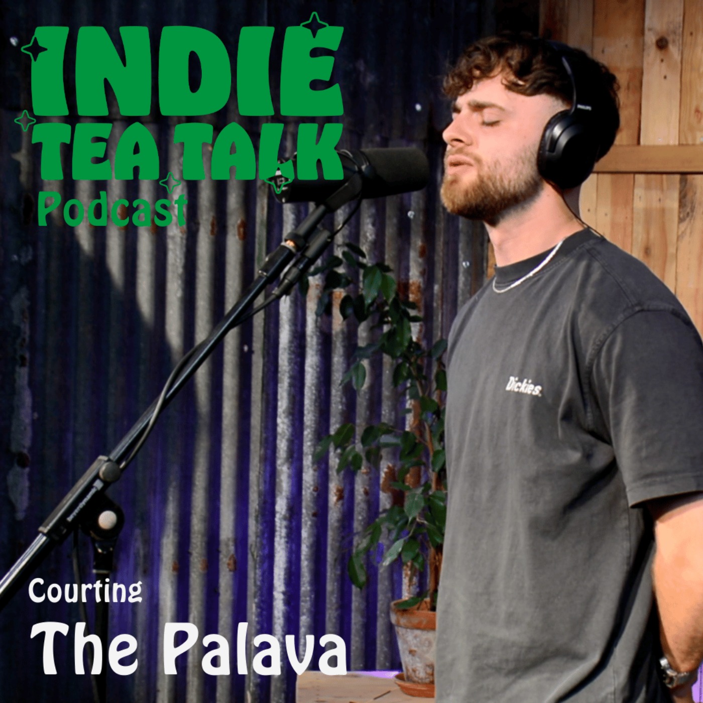 The Palava - Courting 