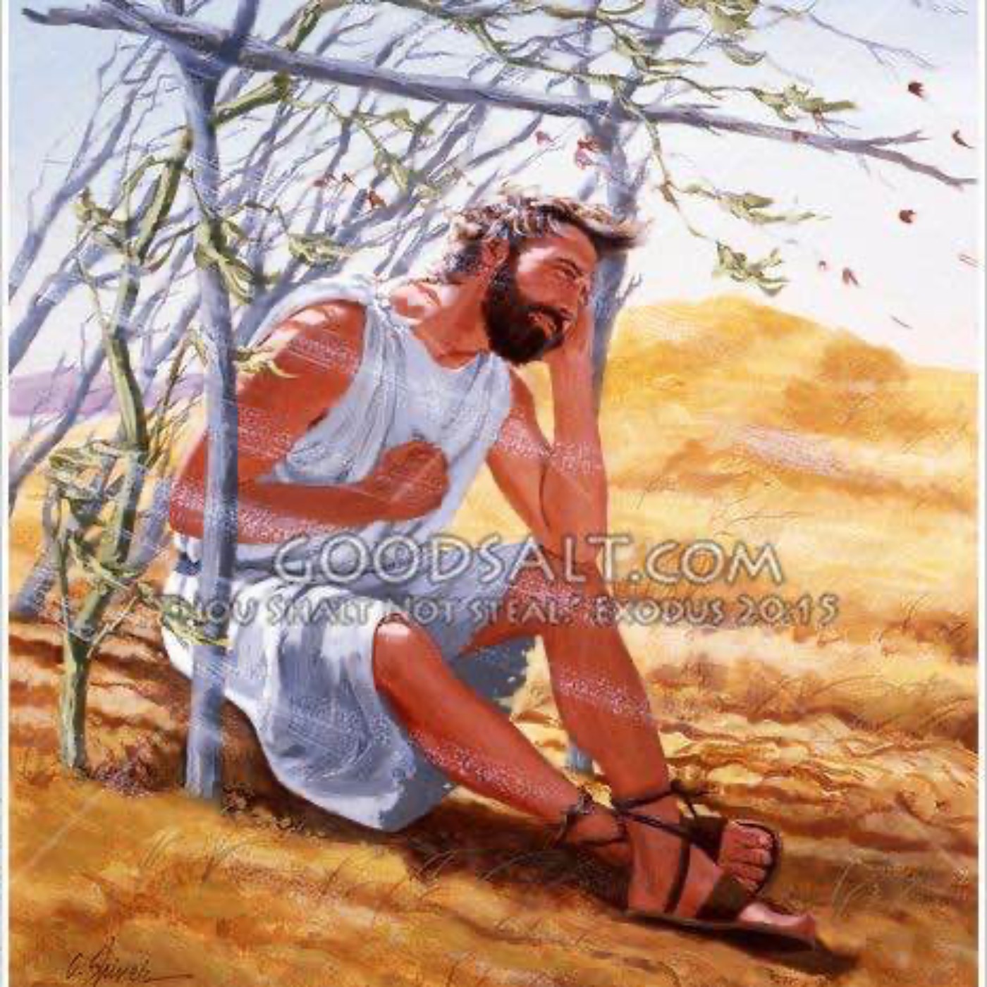 Heath  Bennett\'s podcast